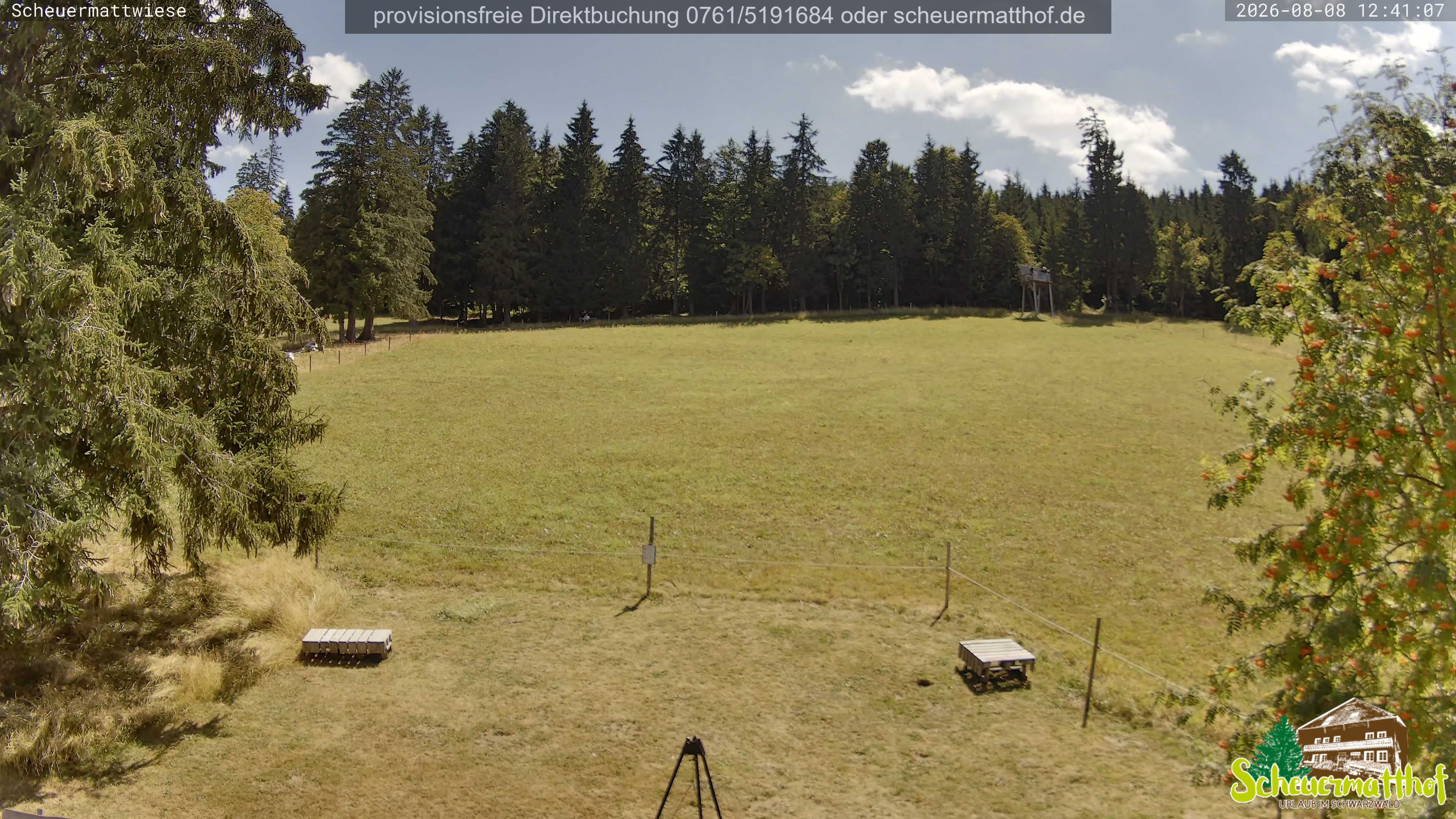 Archived image Webcam Todtnauberg - Scheuermatthof