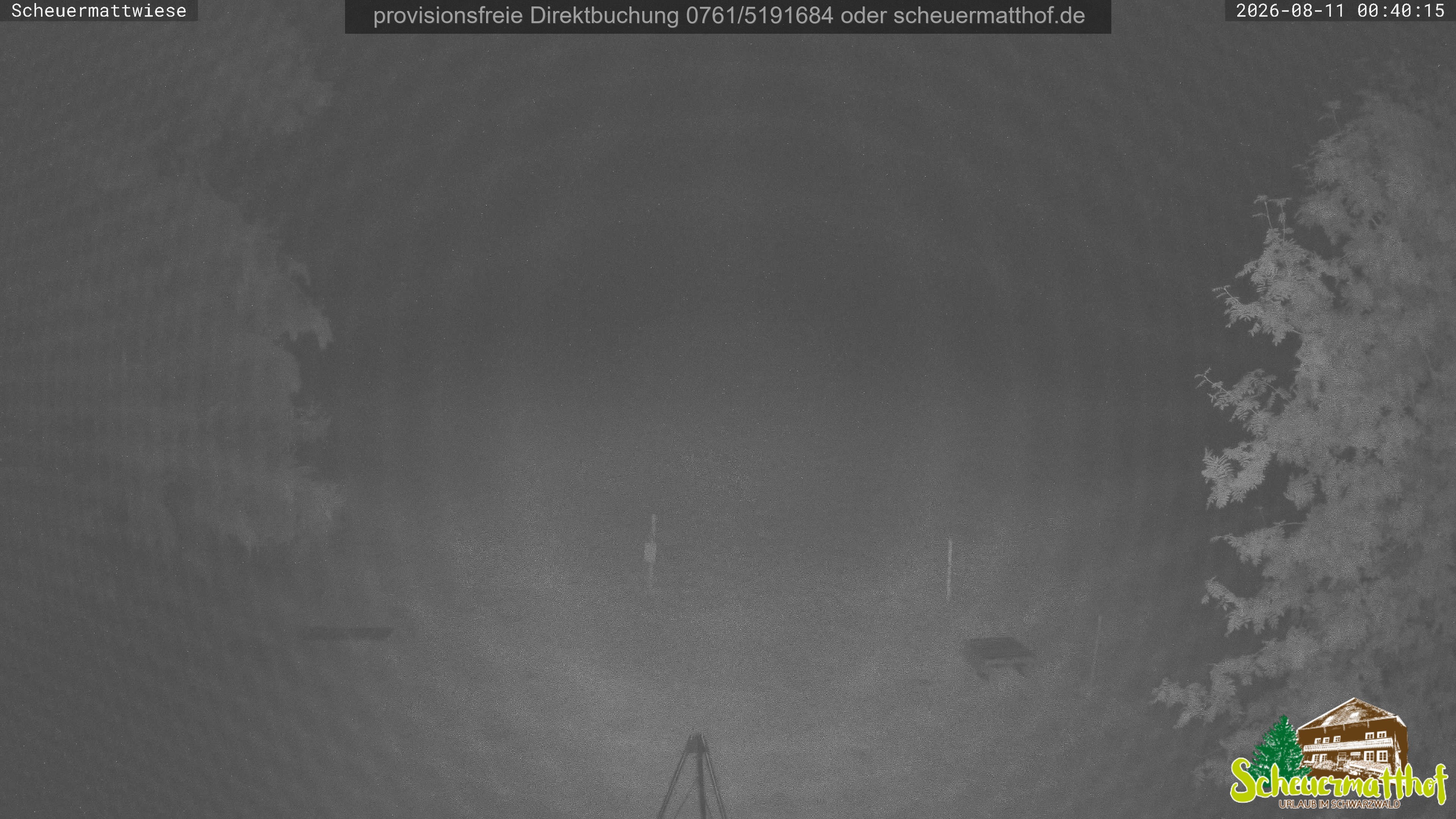 Archiv Foto Webcam Todtnauberg - Scheuermattwiese