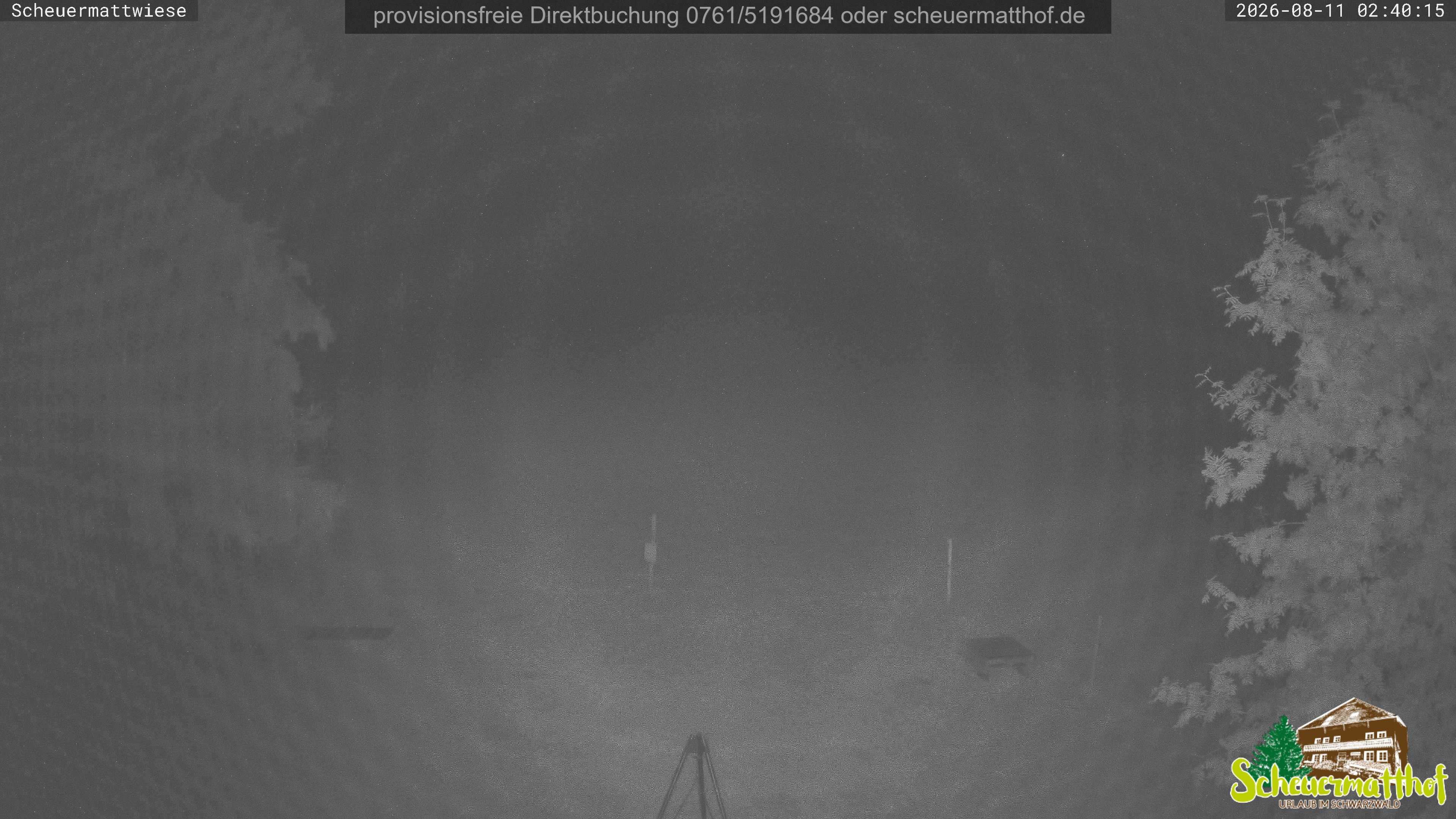 Archiv Foto Webcam Todtnauberg - Scheuermattwiese
