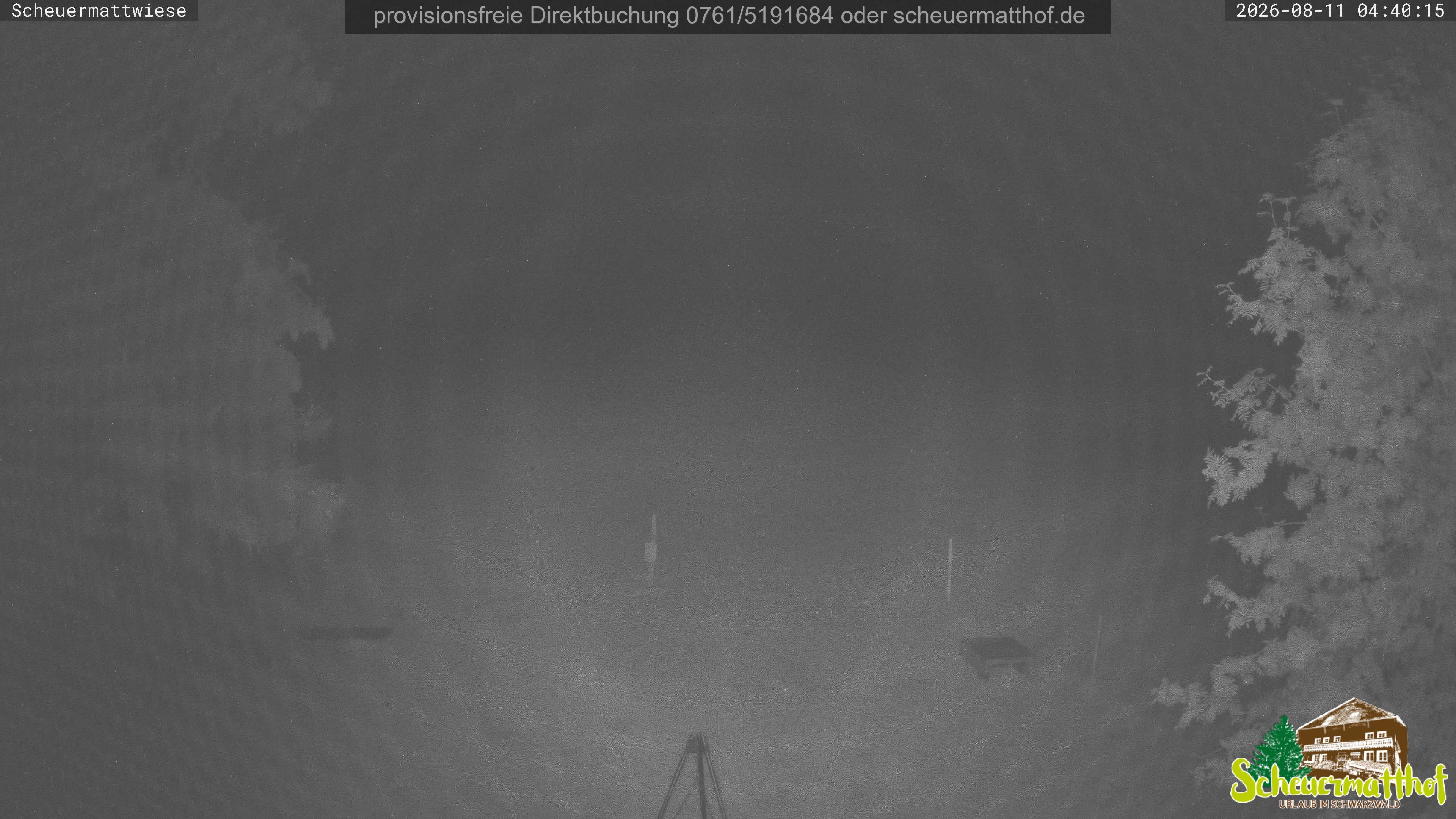 Archiv Foto Webcam Todtnauberg - Scheuermattwiese