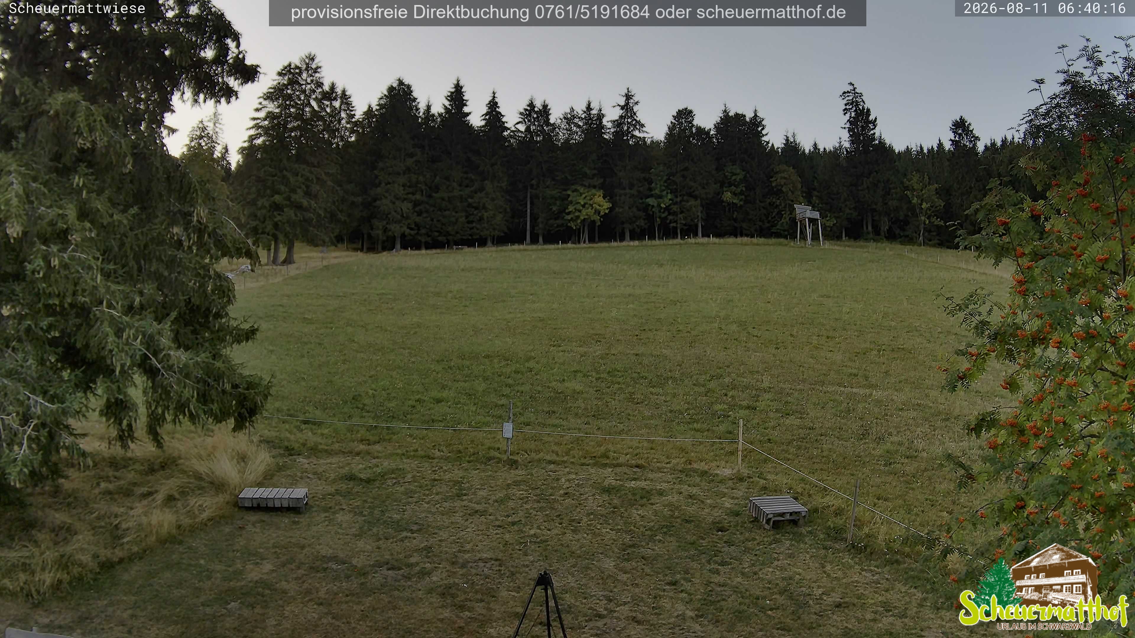 Archiv Foto Webcam Todtnauberg - Scheuermattwiese