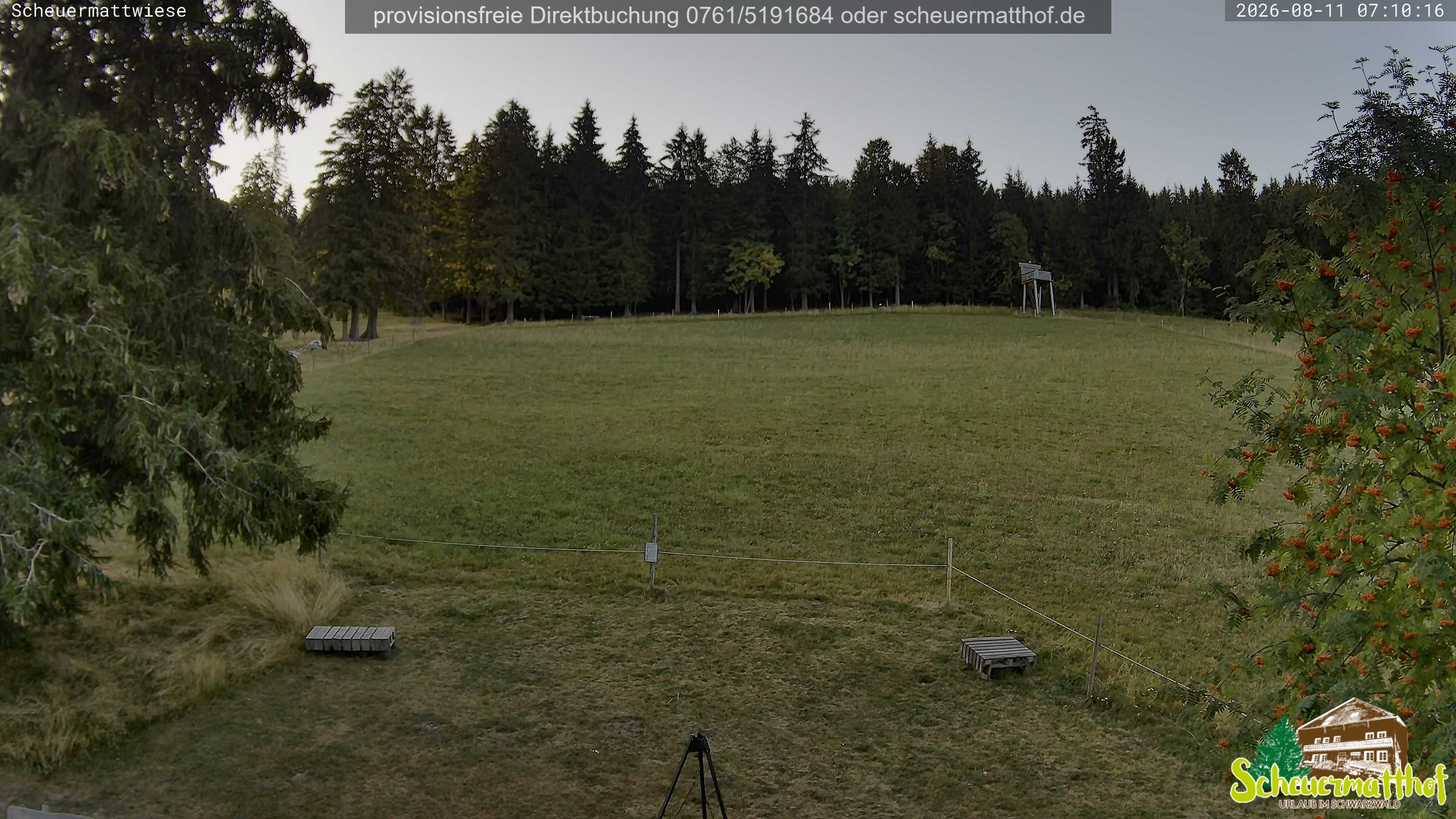 Archiv Foto Webcam Todtnauberg - Scheuermattwiese