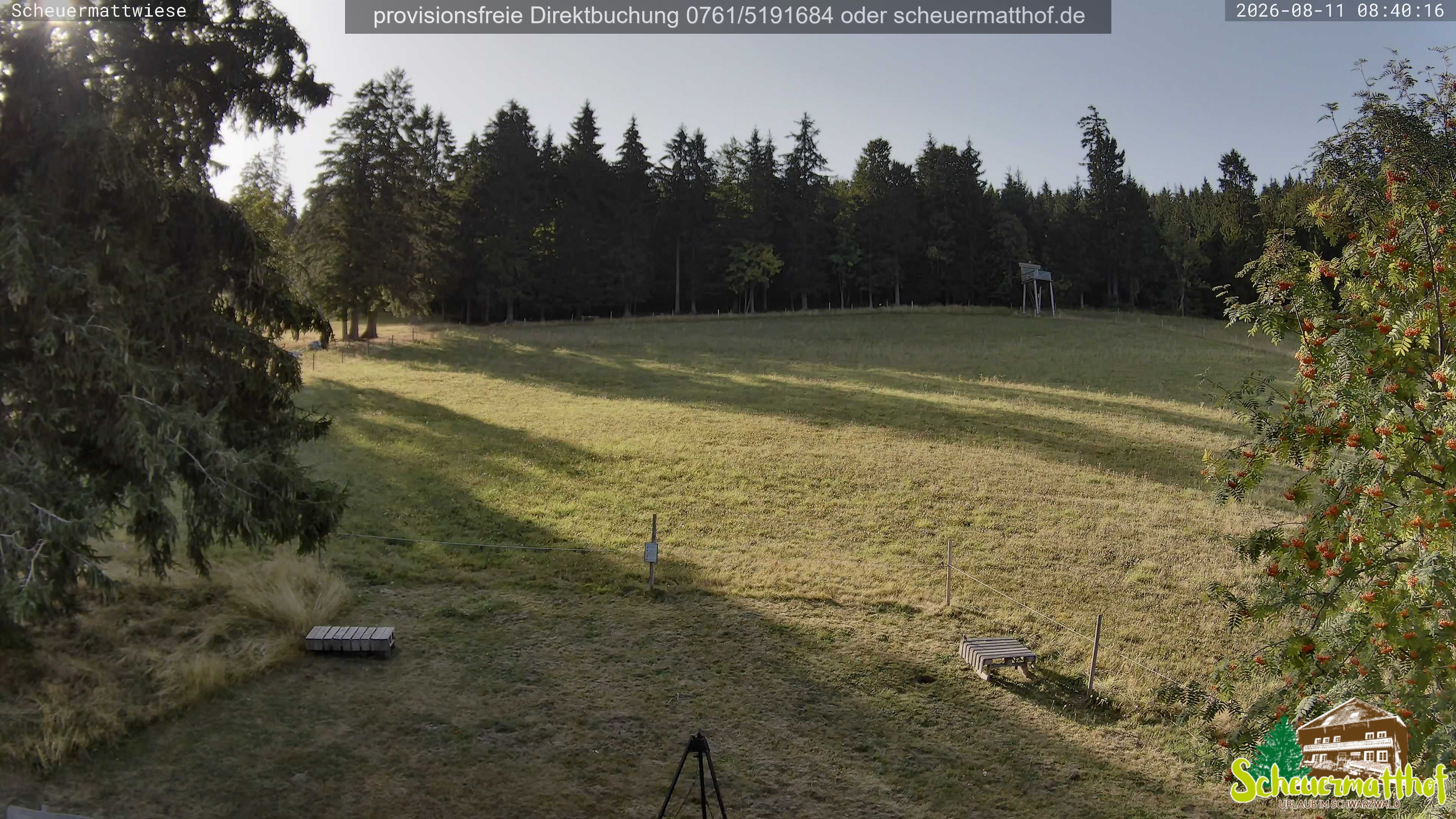 Archiv Foto Webcam Todtnauberg - Scheuermattwiese