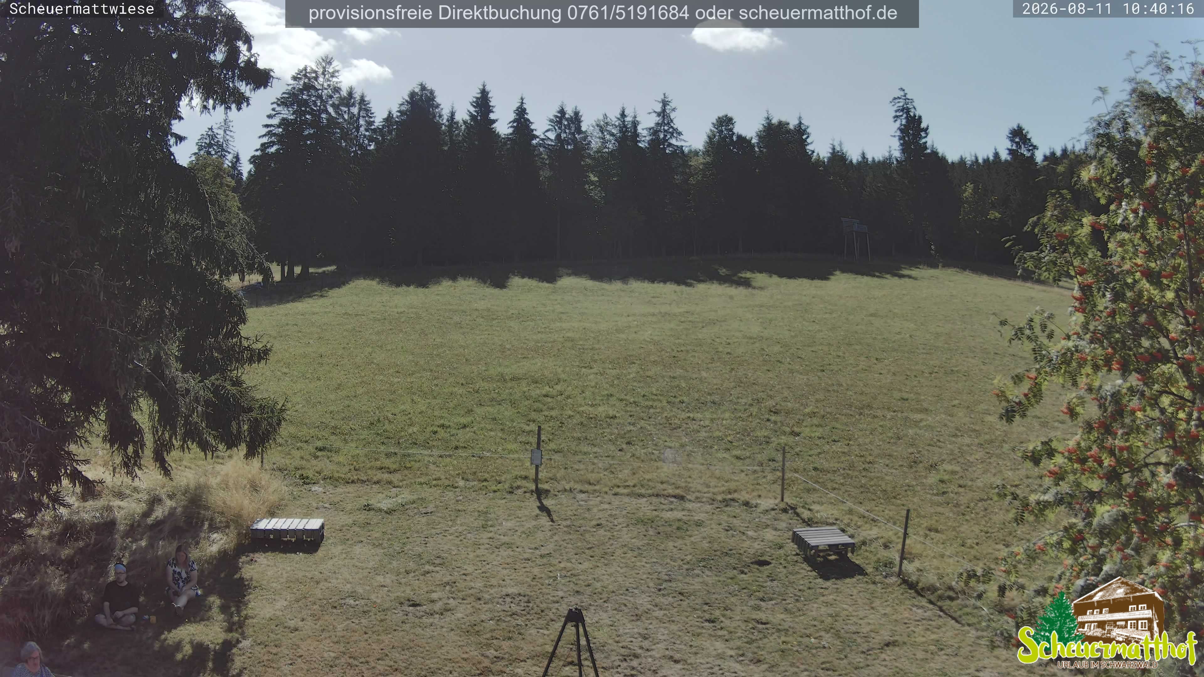 Archiv Foto Webcam Todtnauberg - Scheuermattwiese