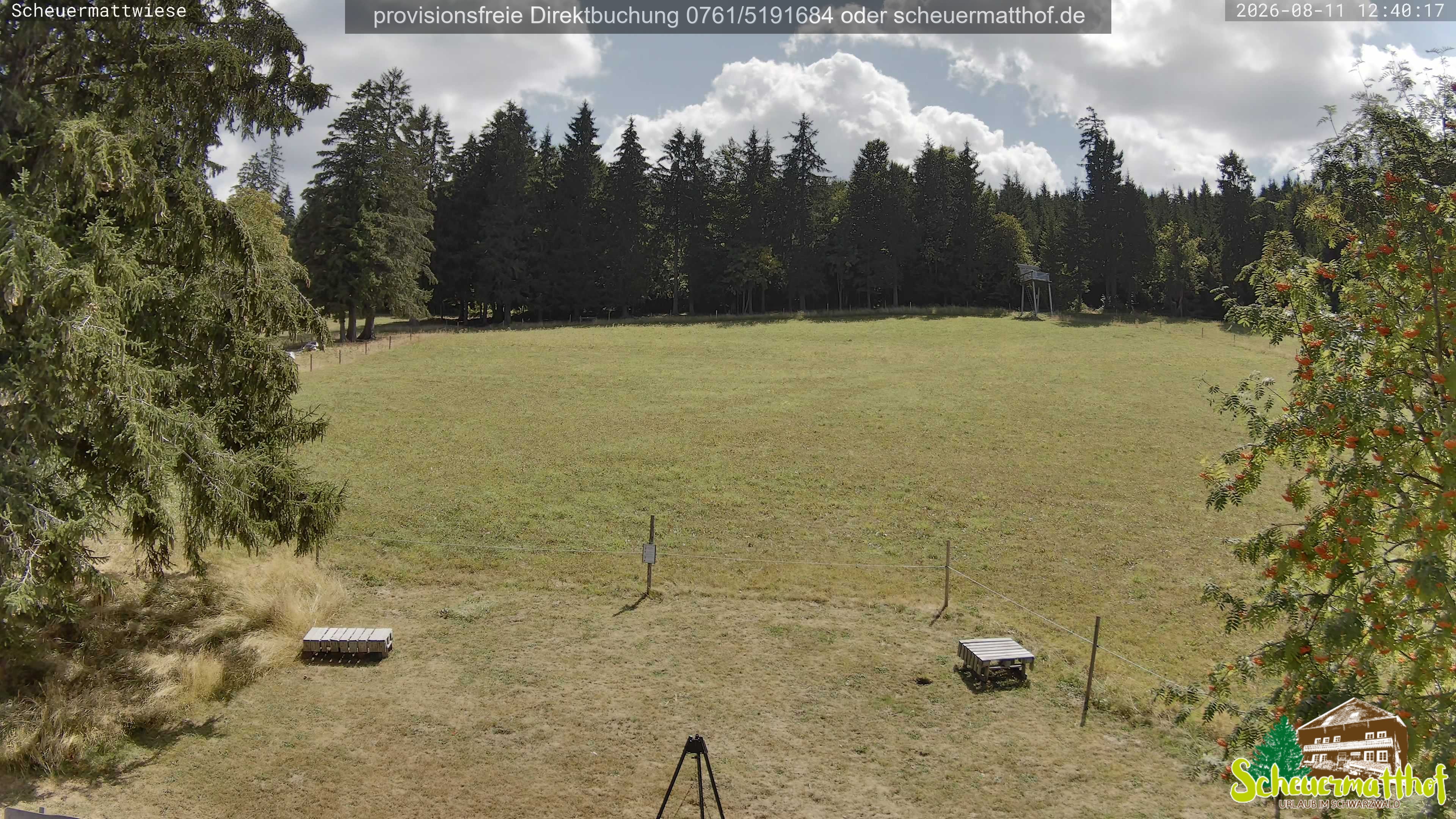 Archiv Foto Webcam Todtnauberg - Scheuermattwiese