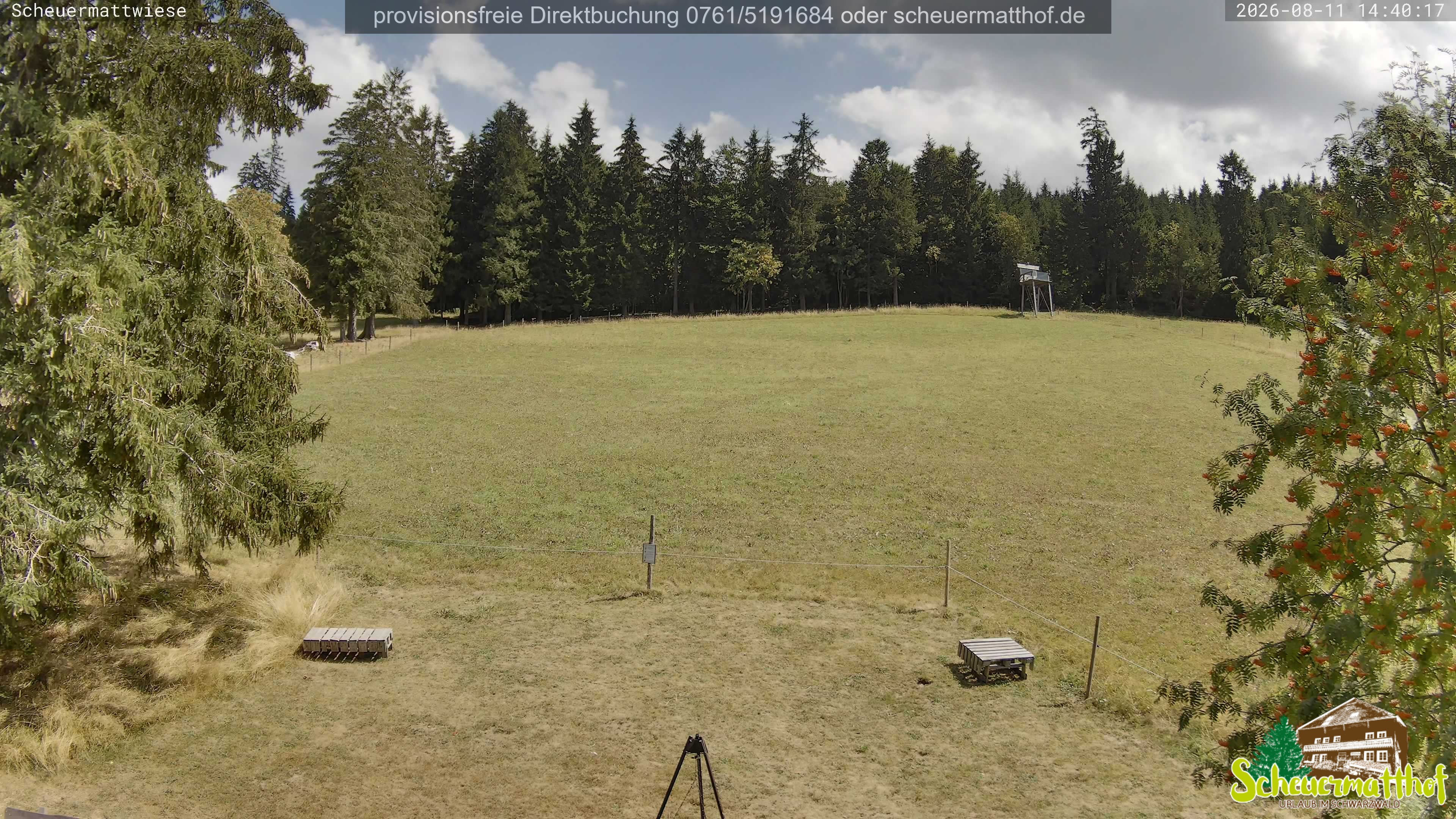 Archiv Foto Webcam Todtnauberg - Scheuermattwiese