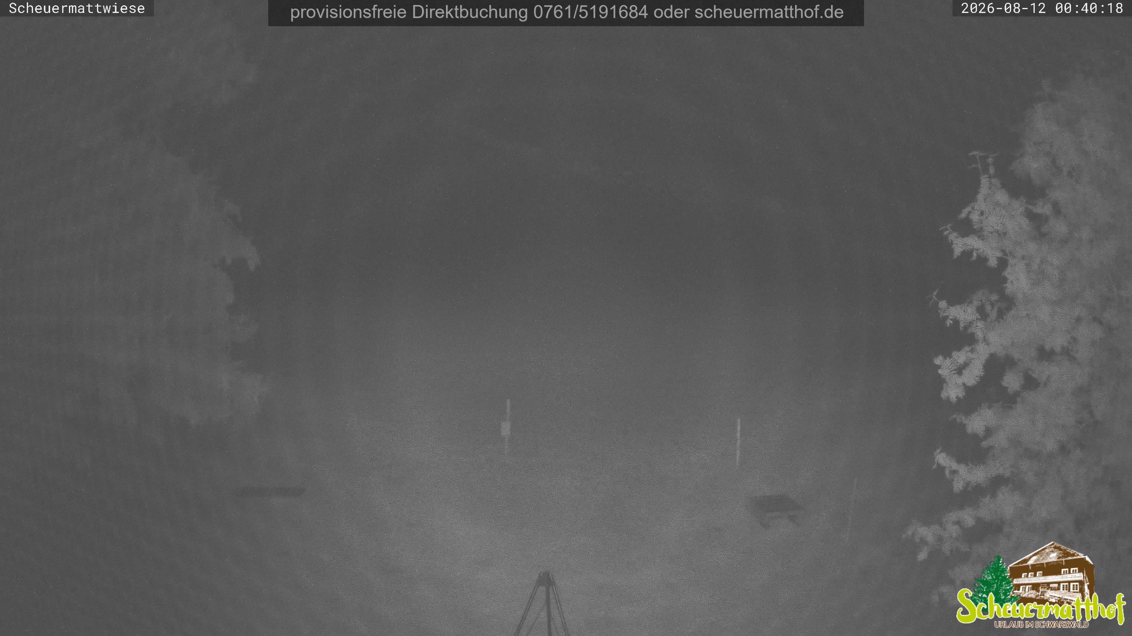 Archiv Foto Webcam Todtnauberg - Scheuermattwiese