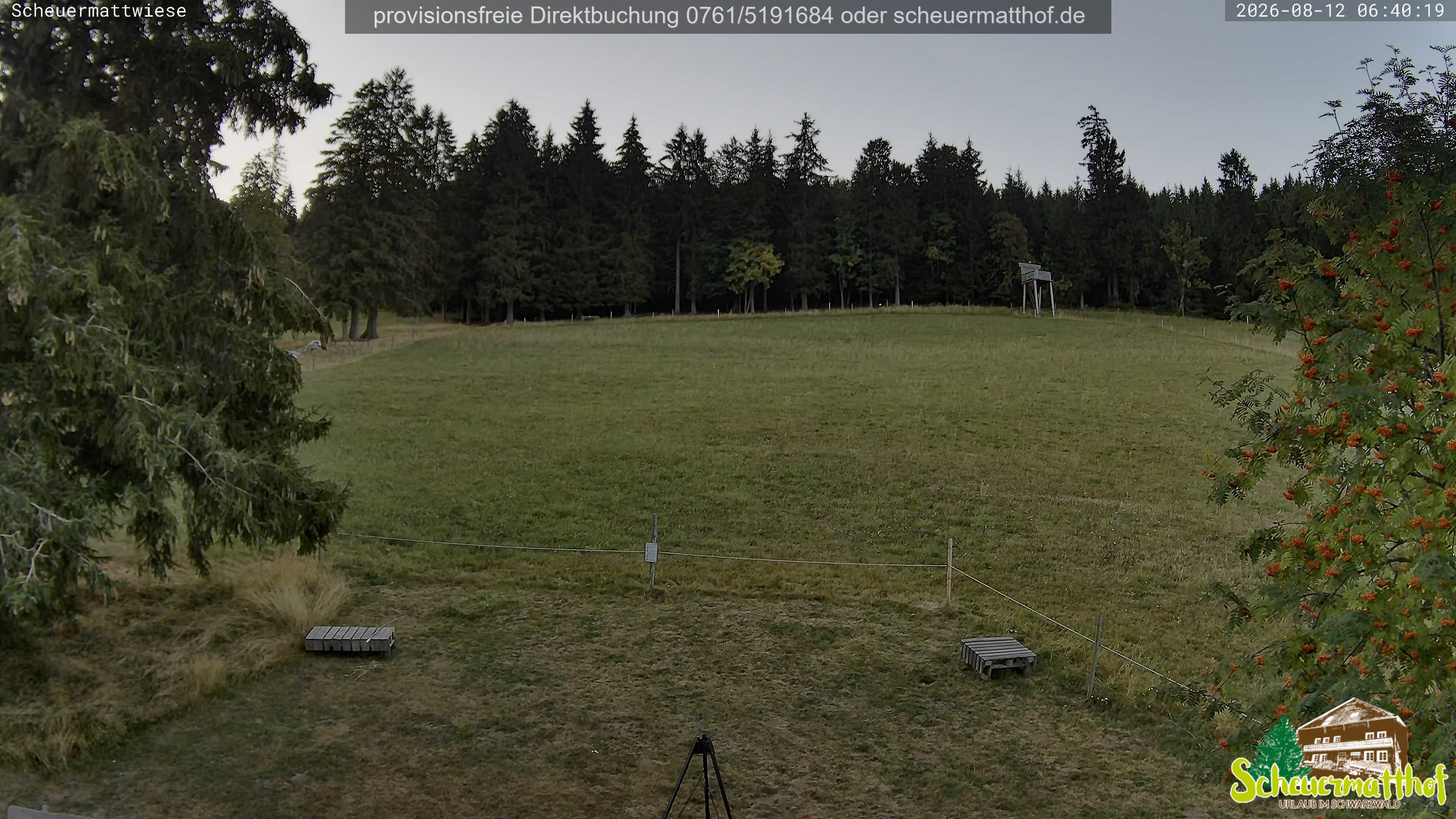 Archiv Foto Webcam Todtnauberg - Scheuermattwiese