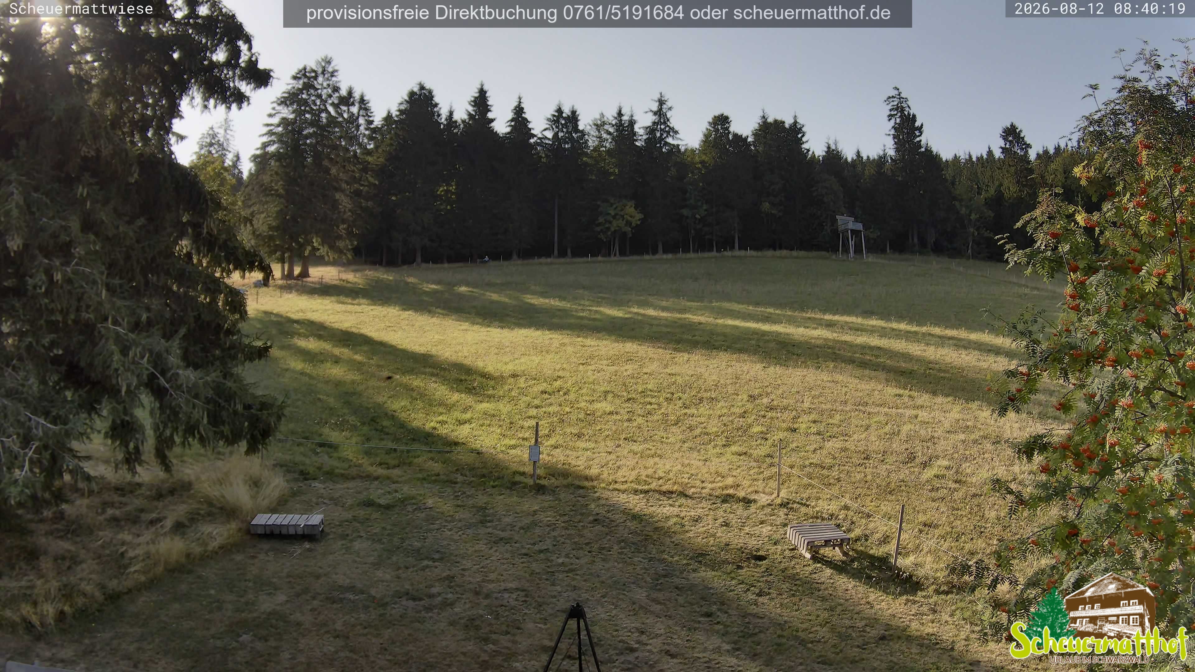 Archiv Foto Webcam Todtnauberg - Scheuermattwiese