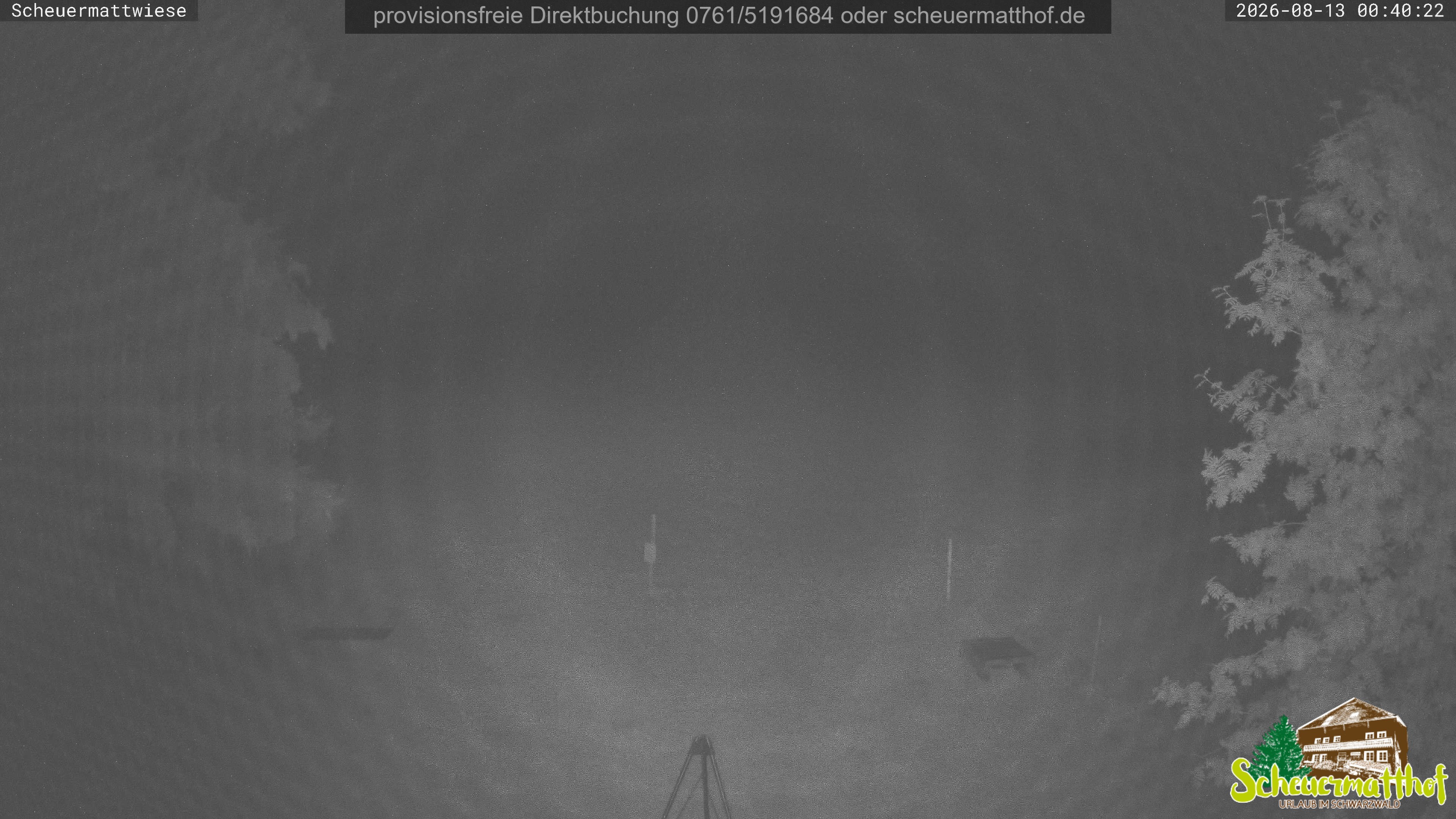 Archived image Webcam Todtnauberg - Scheuermatthof
