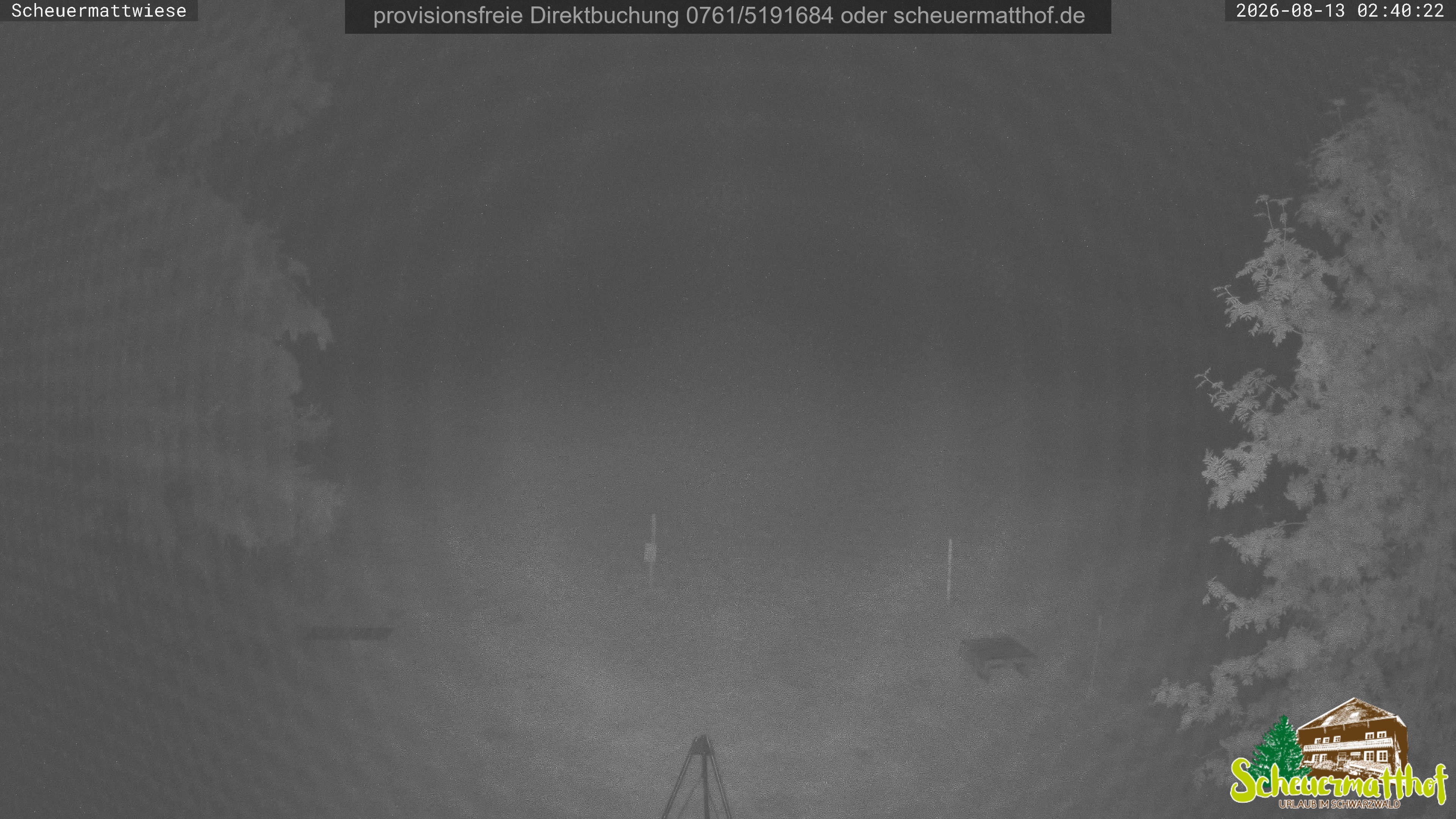 Archiv Foto Webcam Todtnauberg - Scheuermattwiese