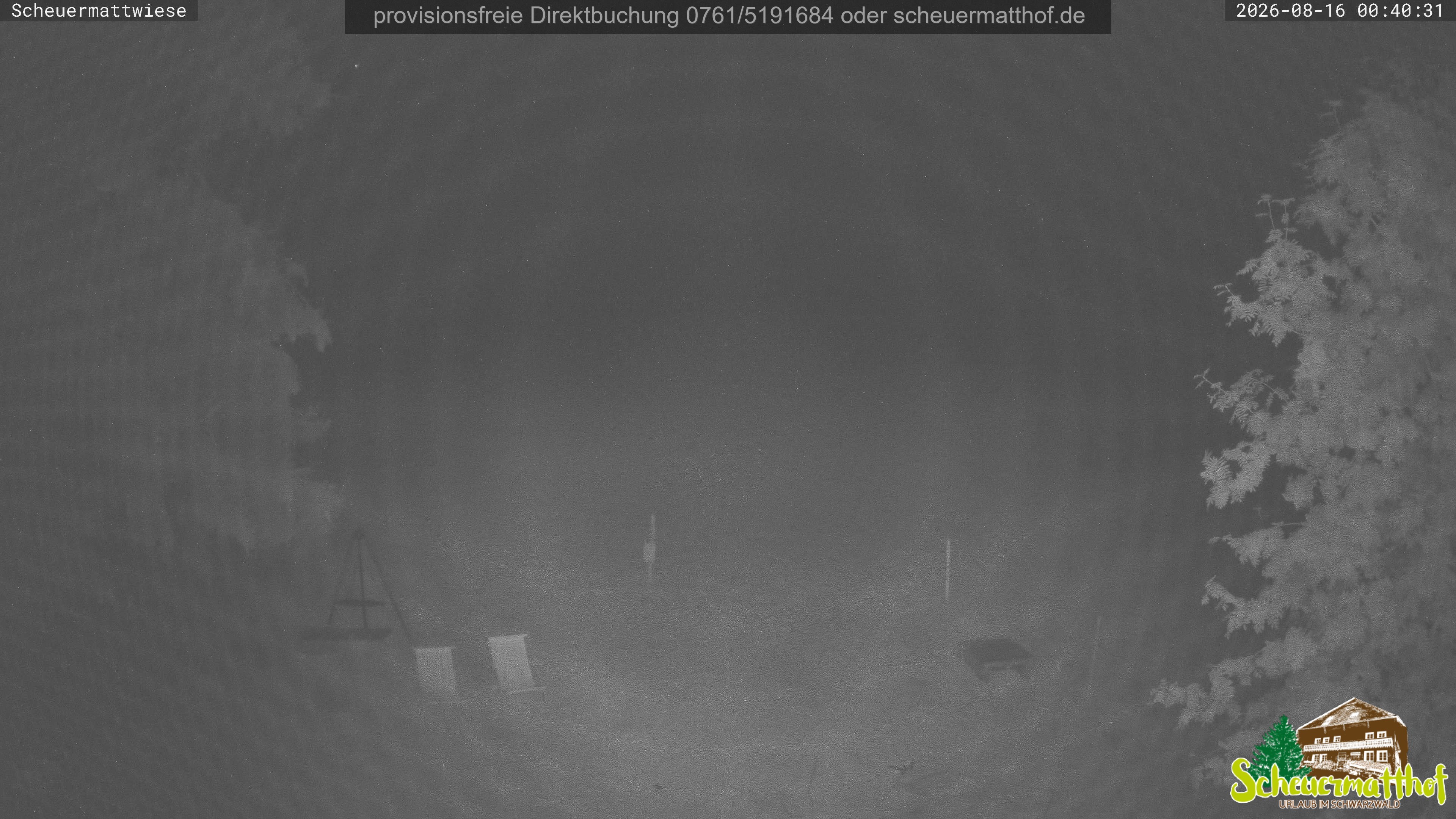 Archiv Foto Webcam Todtnauberg - Scheuermattwiese