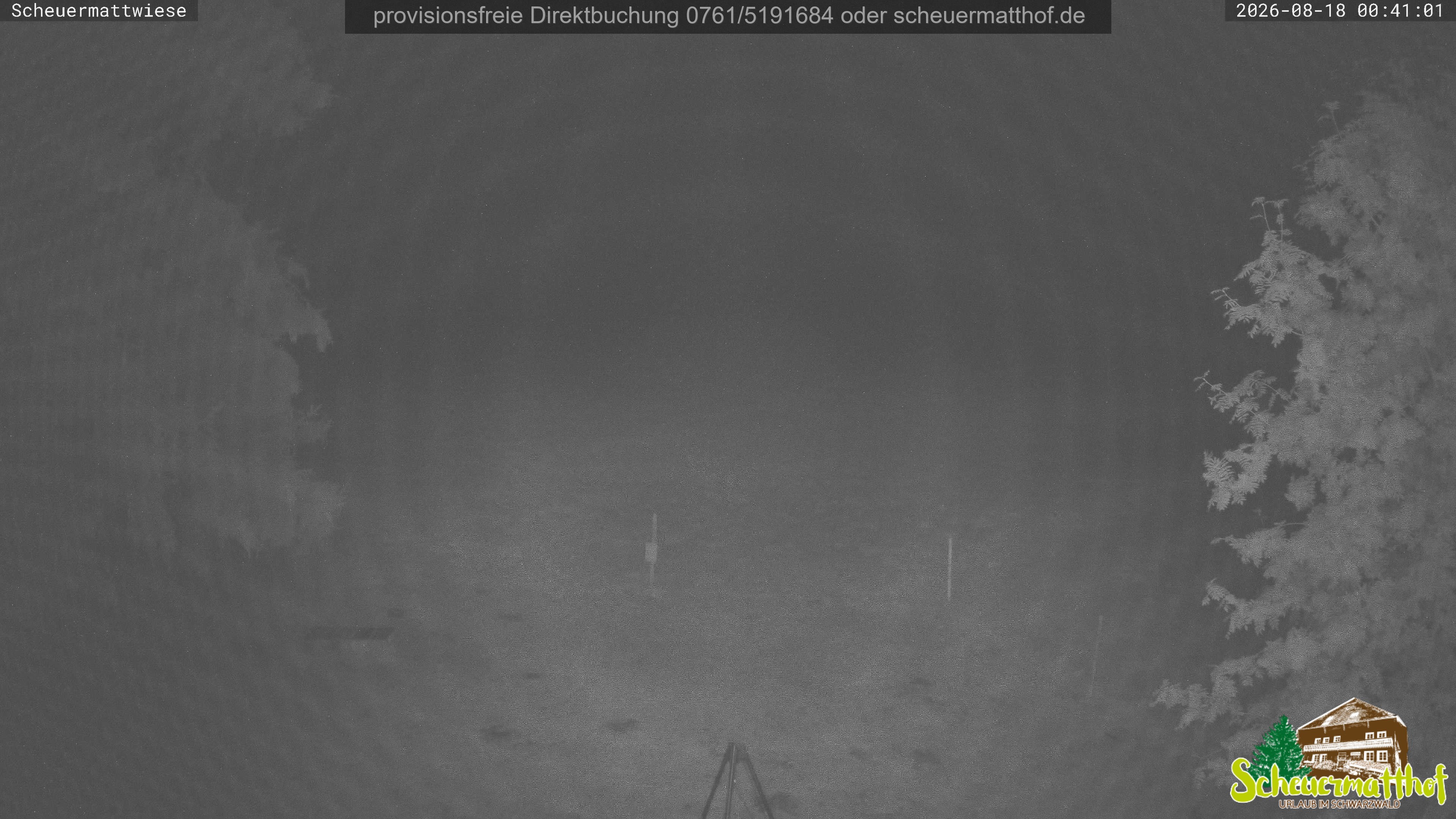 Archiv Foto Webcam Todtnauberg - Scheuermattwiese