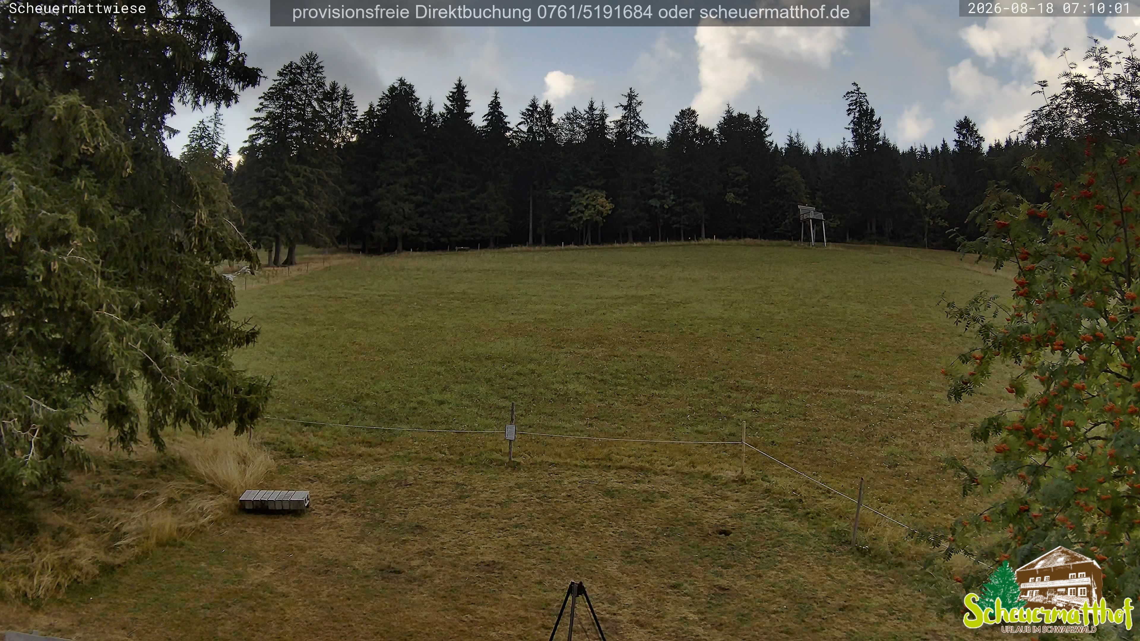 Archiv Foto Webcam Todtnauberg - Scheuermattwiese