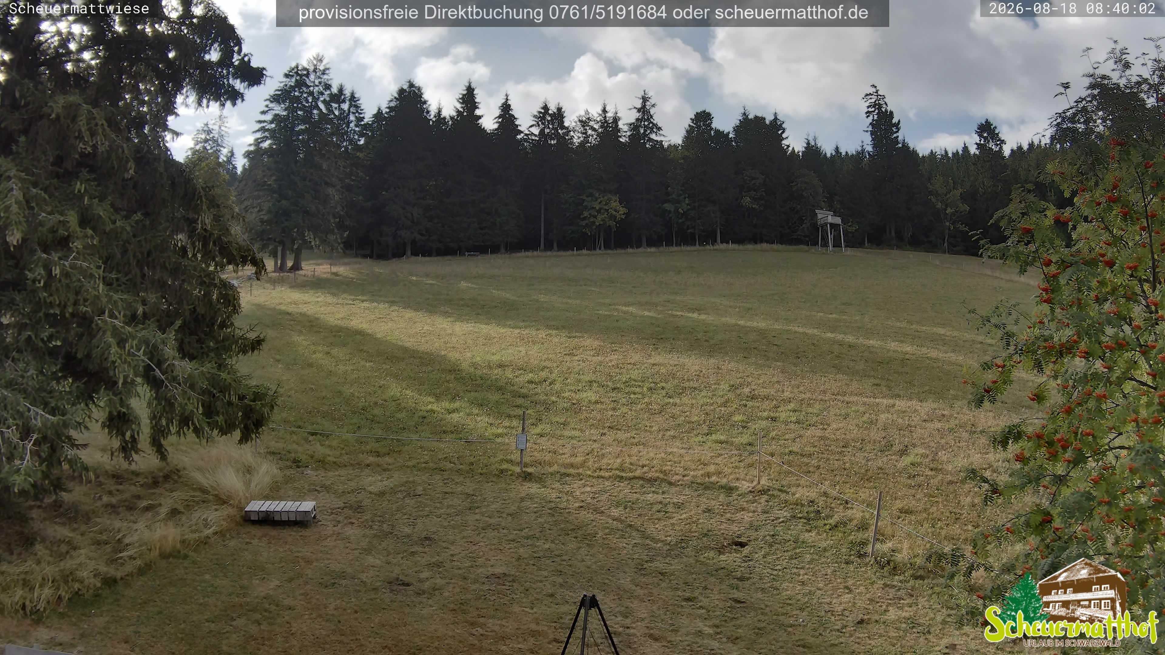 Archiv Foto Webcam Todtnauberg - Scheuermattwiese
