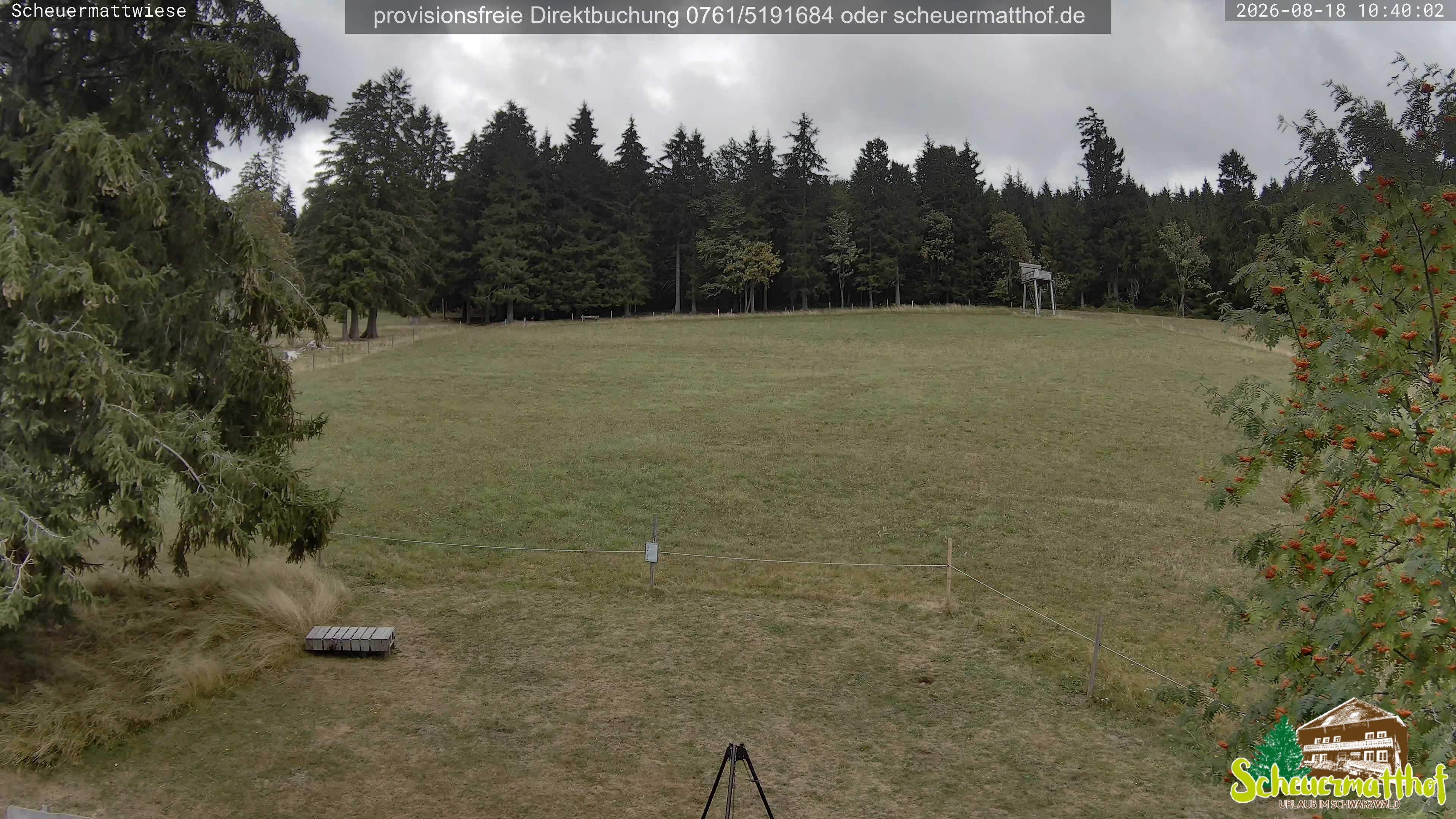 Archiv Foto Webcam Todtnauberg - Scheuermattwiese
