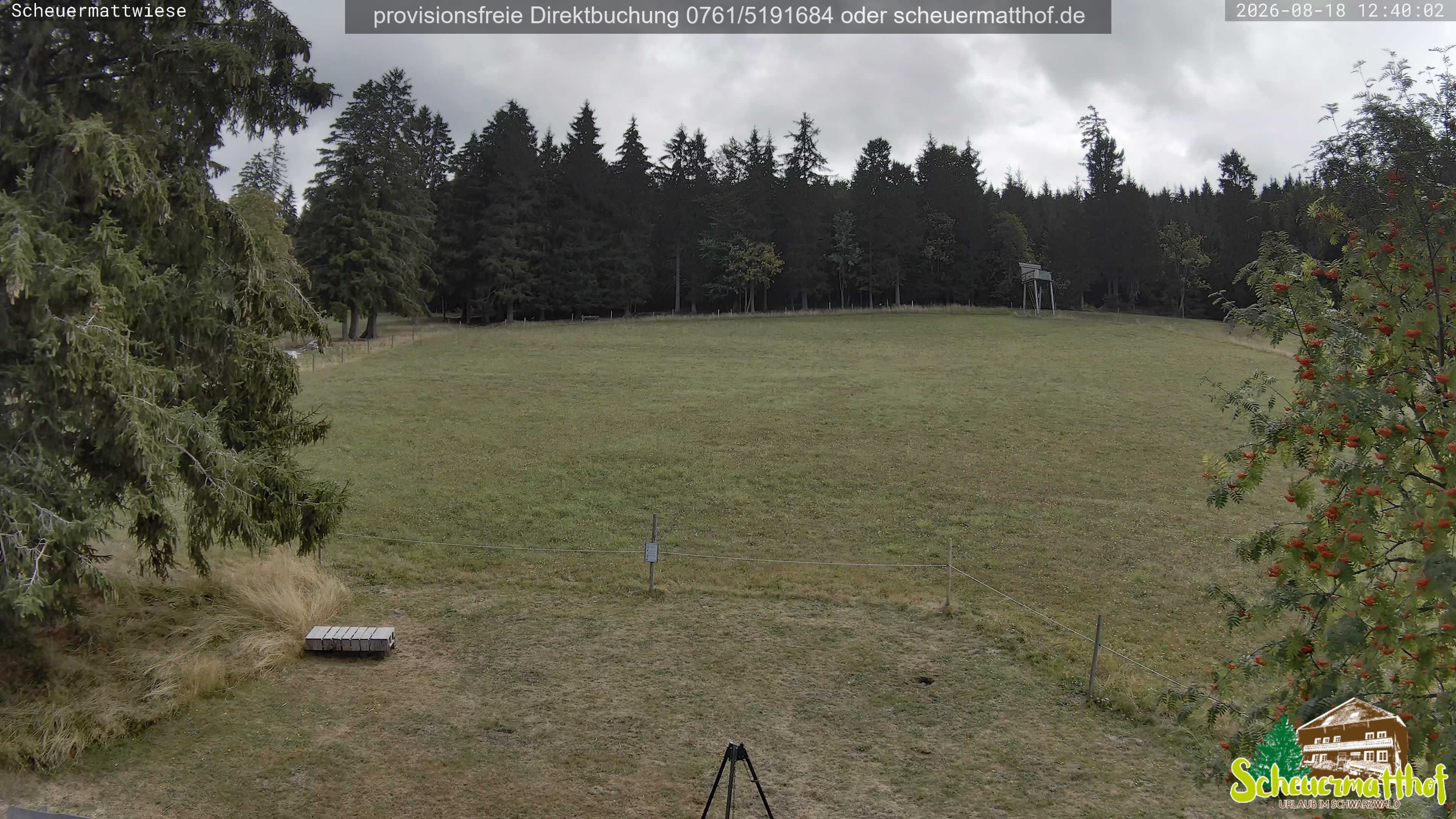Archiv Foto Webcam Todtnauberg - Scheuermattwiese