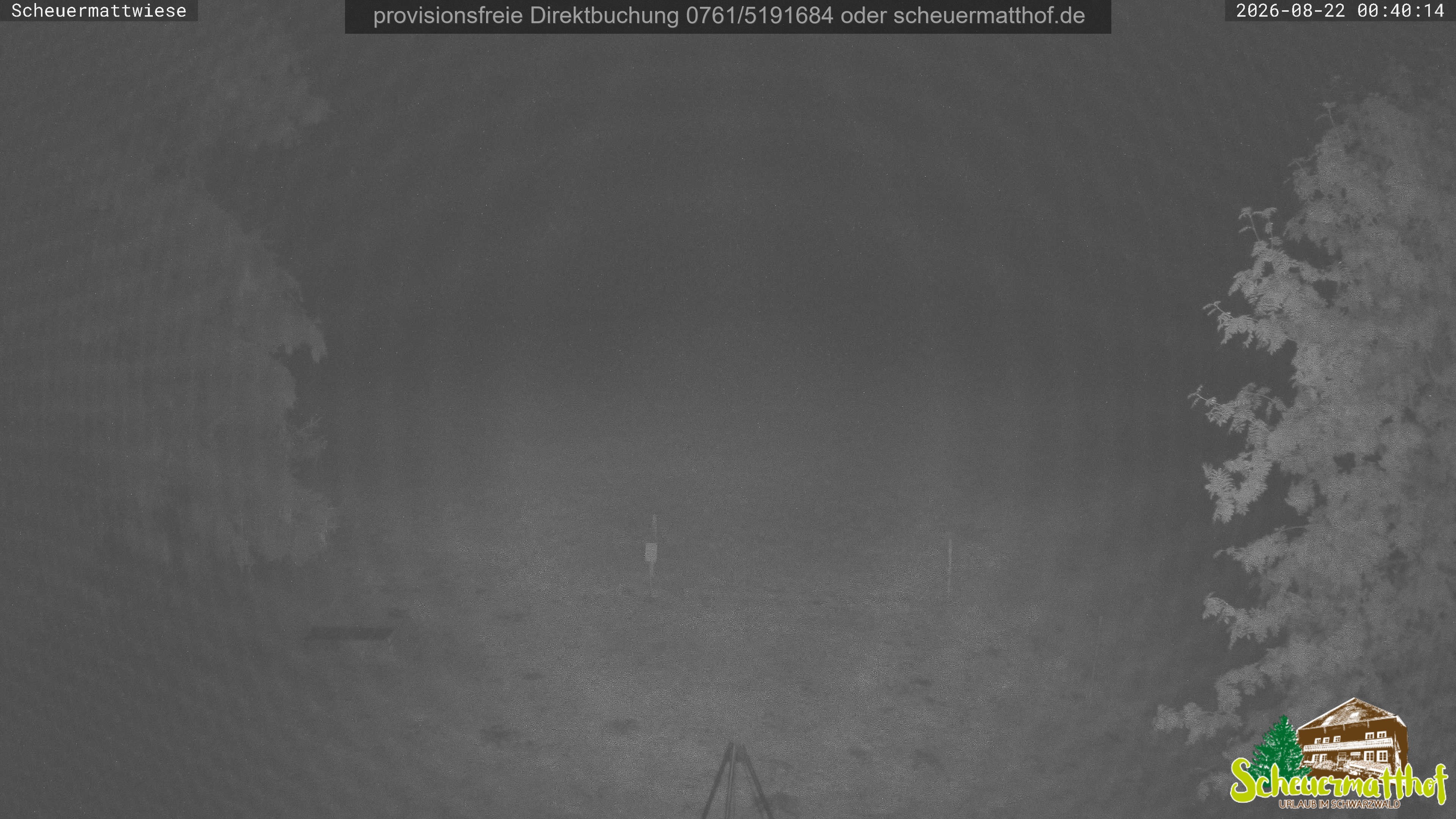 Archived image Webcam Todtnauberg - Scheuermatthof