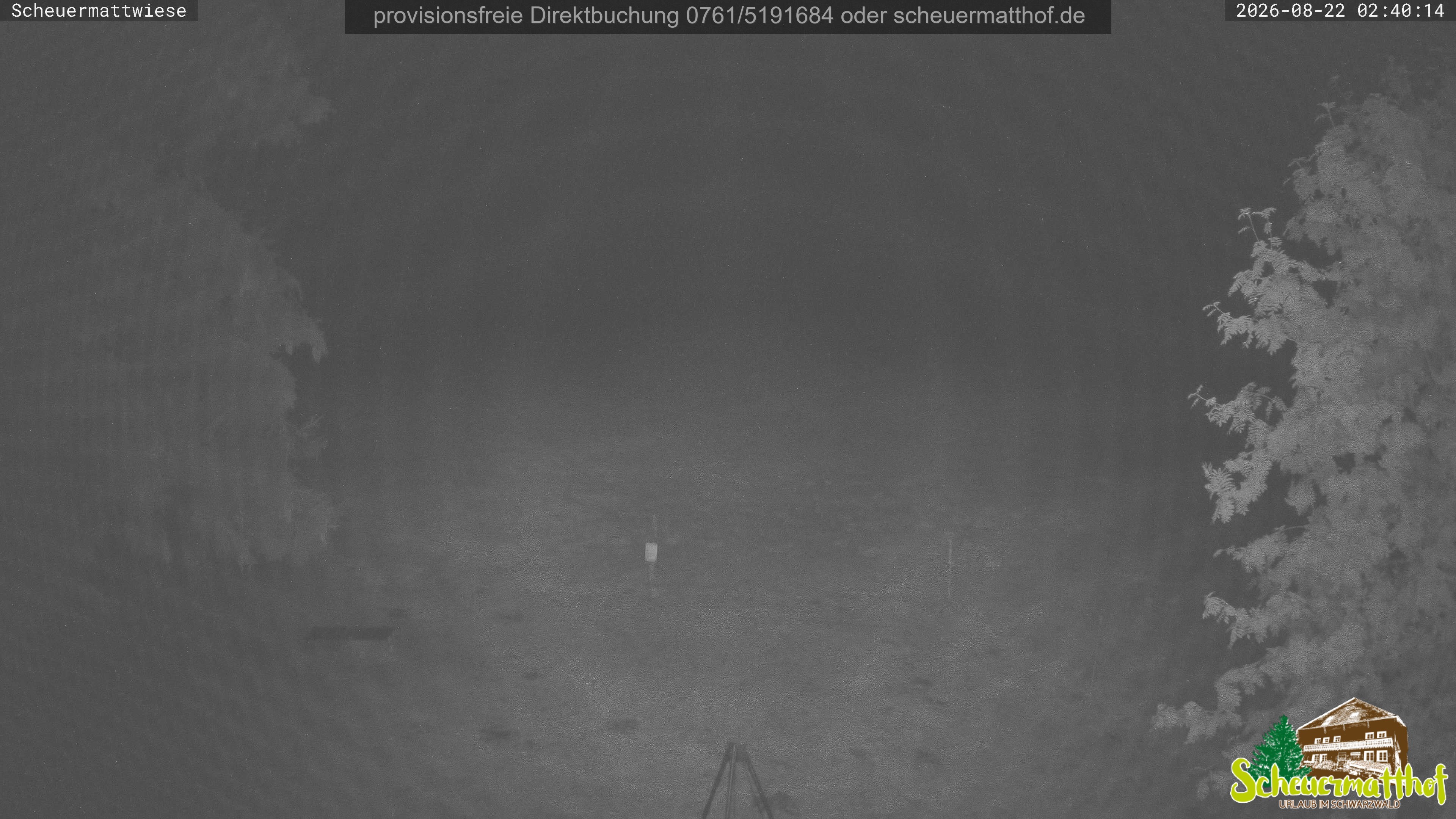 Archived image Webcam Todtnauberg - Scheuermatthof