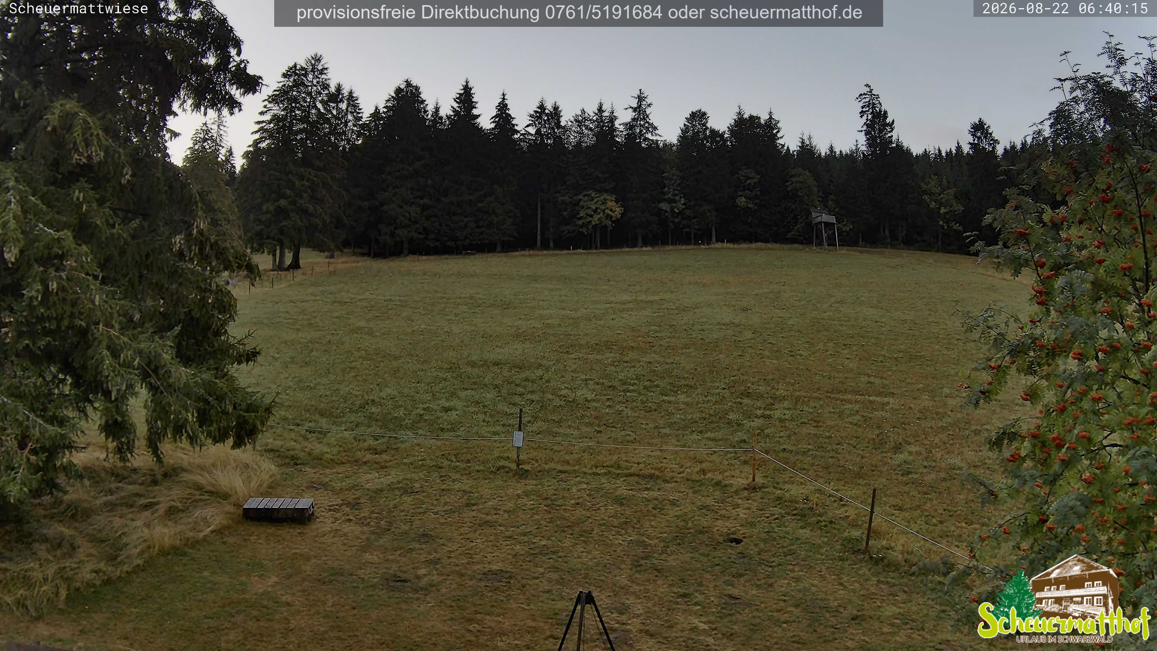 Archived image Webcam Todtnauberg - Scheuermatthof