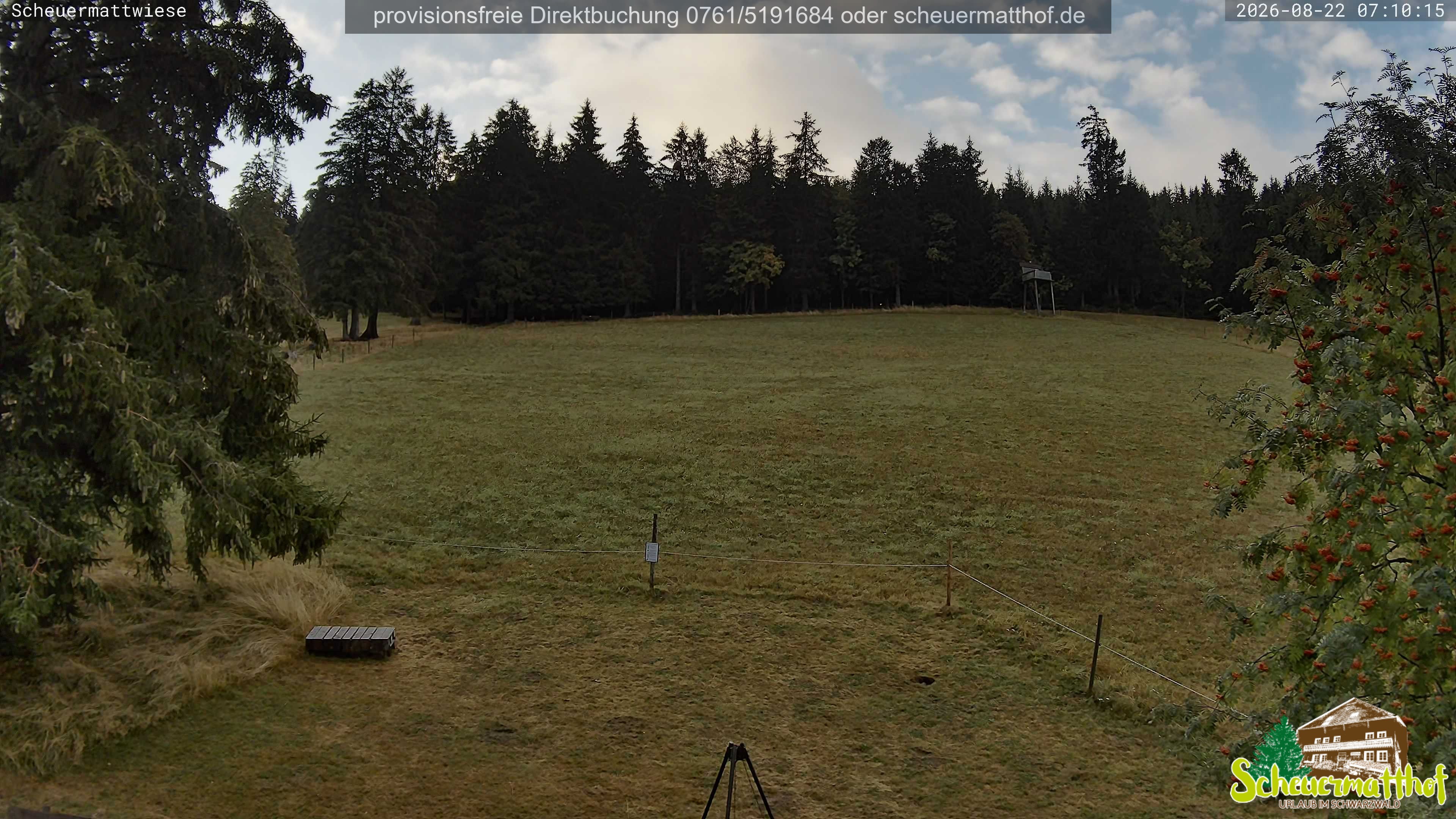 Archived image Webcam Todtnauberg - Scheuermatthof
