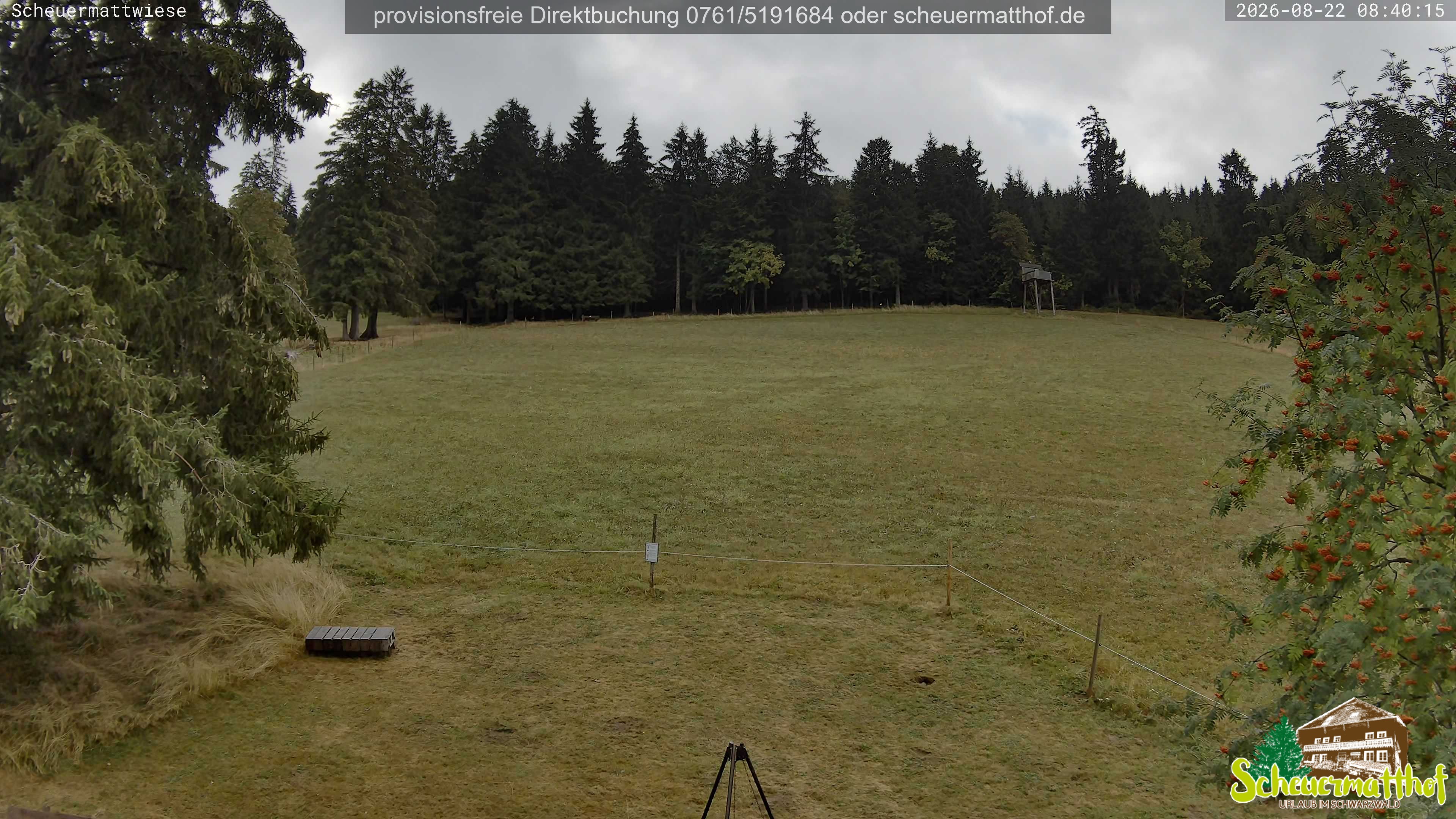 Archived image Webcam Todtnauberg - Scheuermatthof