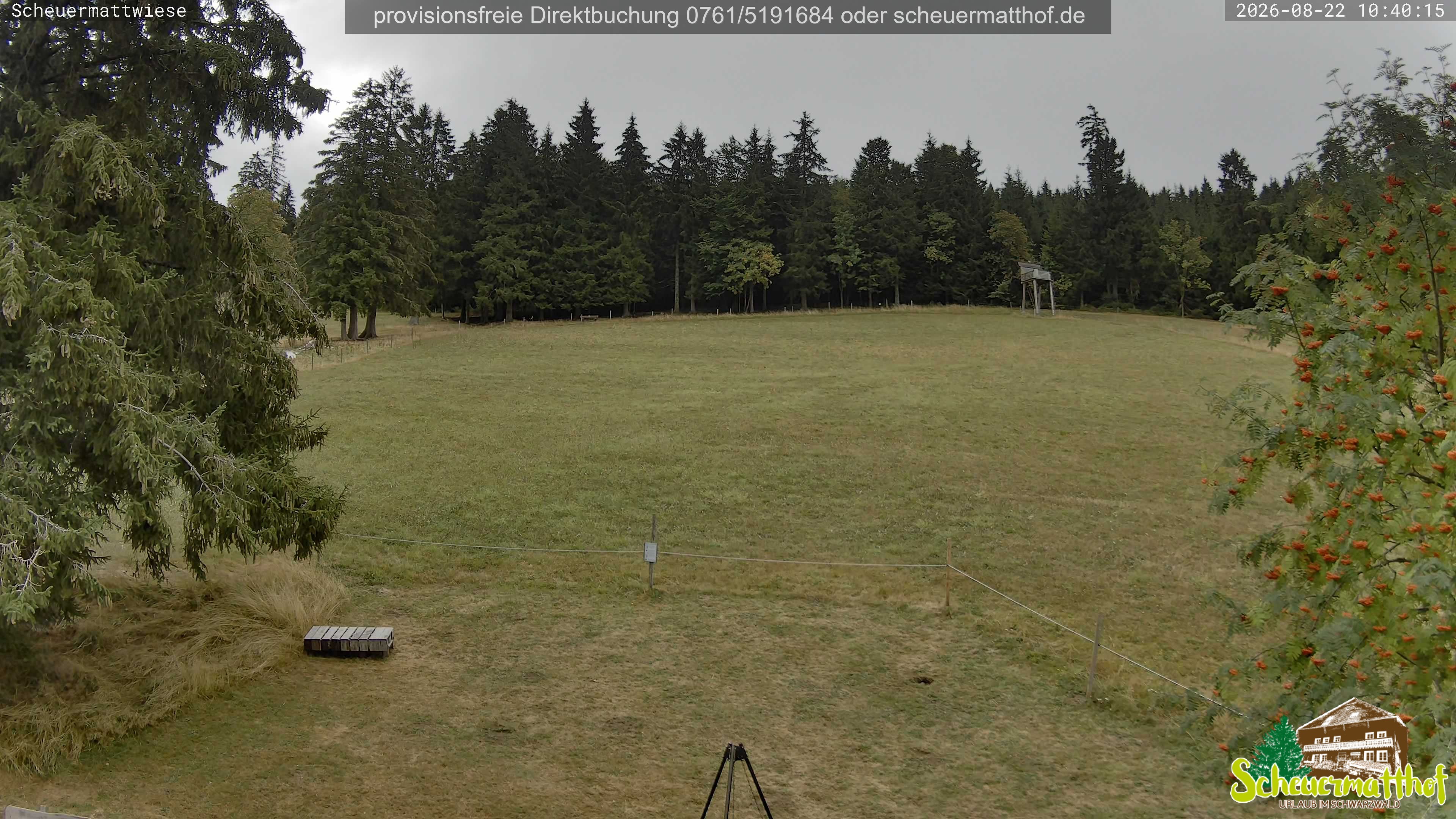 Archived image Webcam Todtnauberg - Scheuermatthof