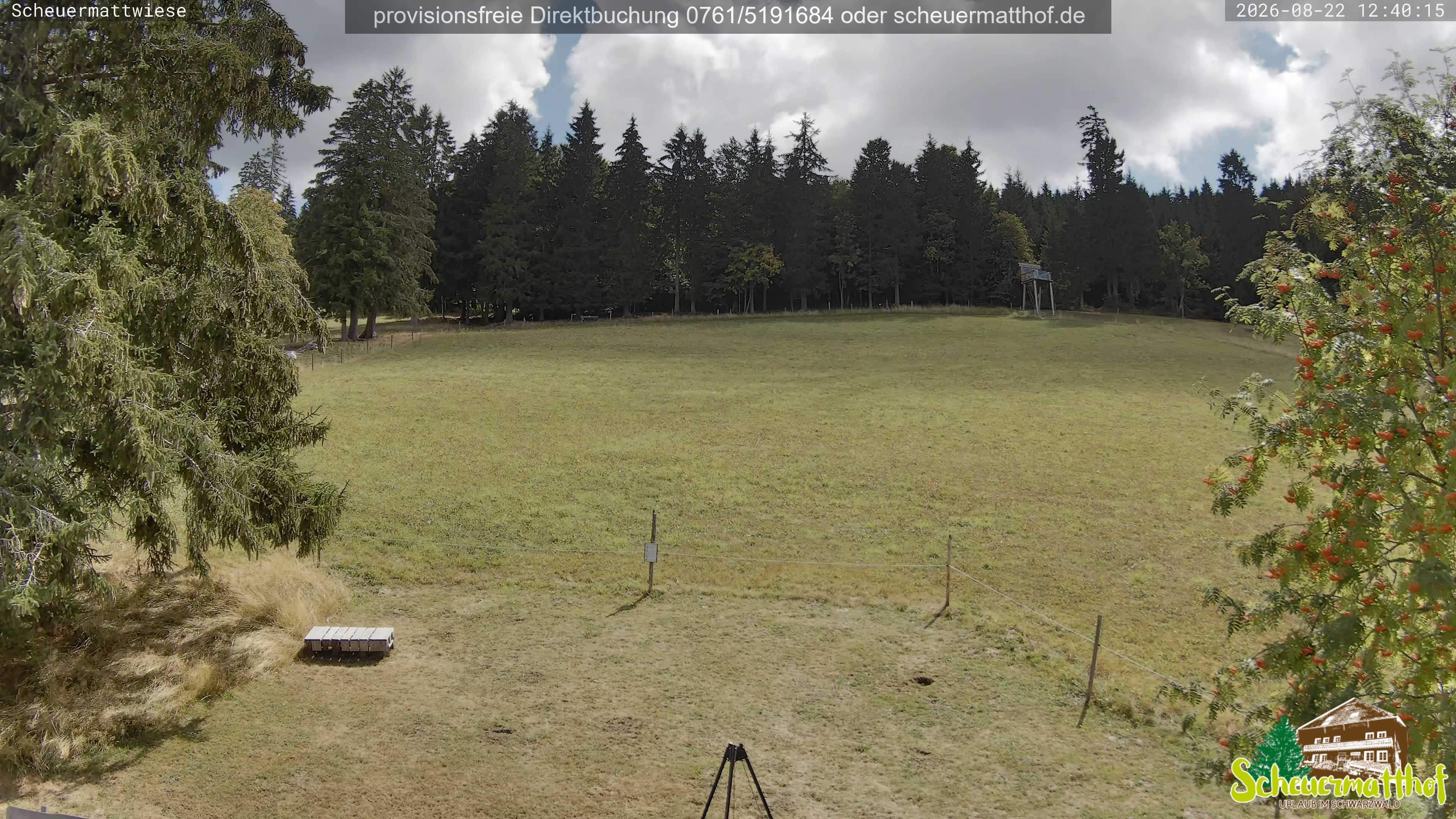 Archived image Webcam Todtnauberg - Scheuermatthof