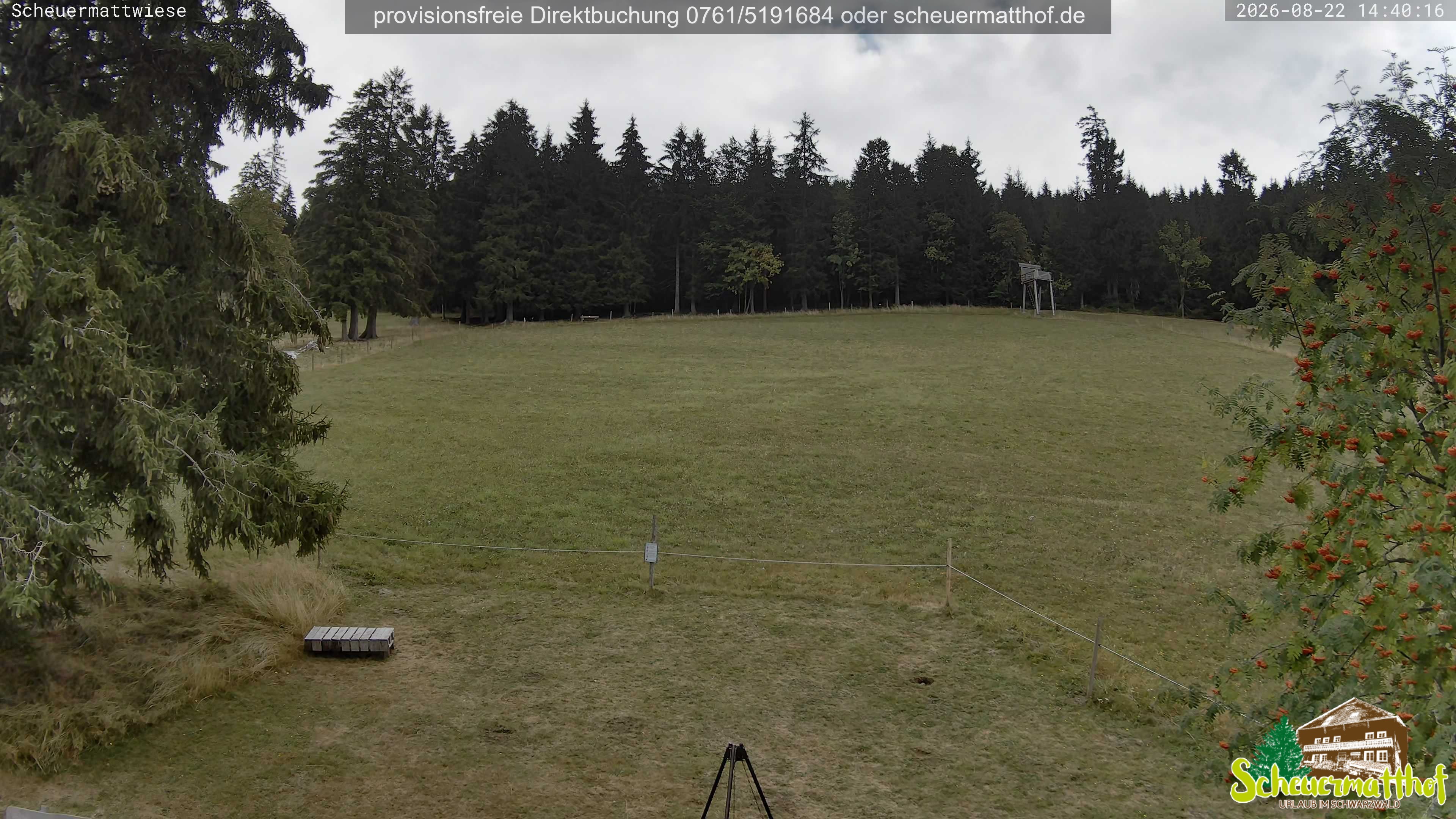 Archived image Webcam Todtnauberg - Scheuermatthof