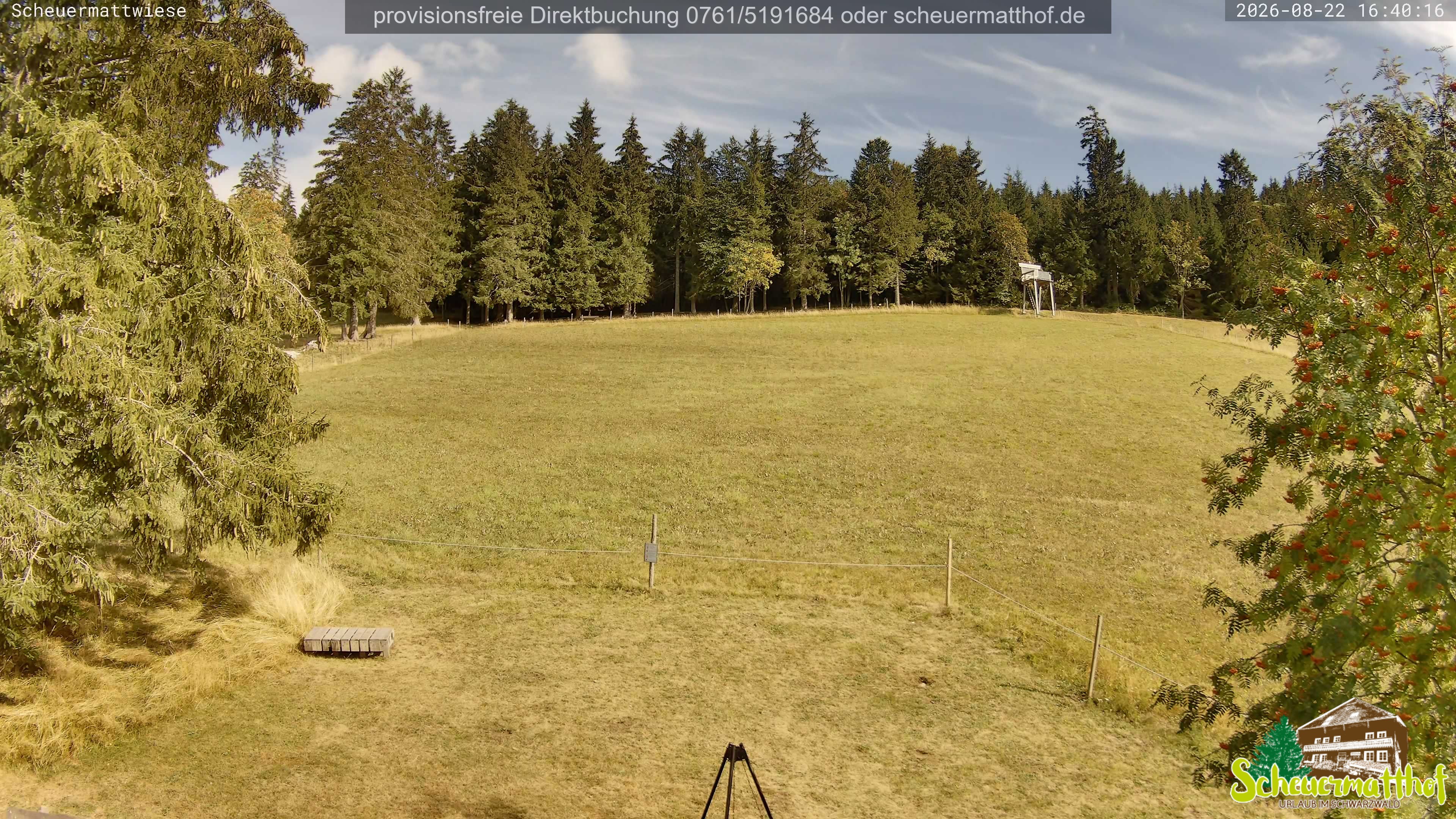 Archived image Webcam Todtnauberg - Scheuermatthof