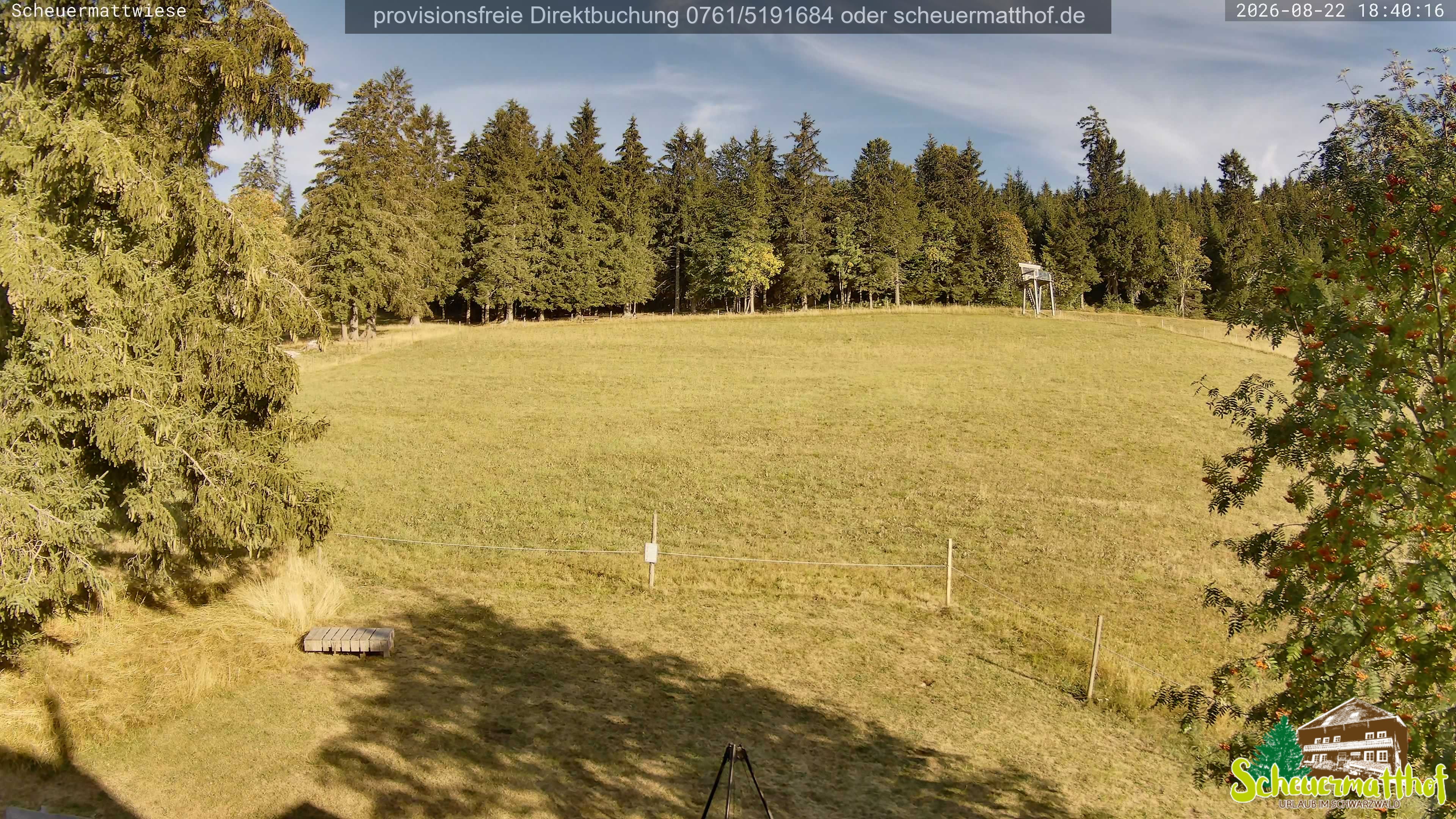 Archived image Webcam Todtnauberg - Scheuermatthof