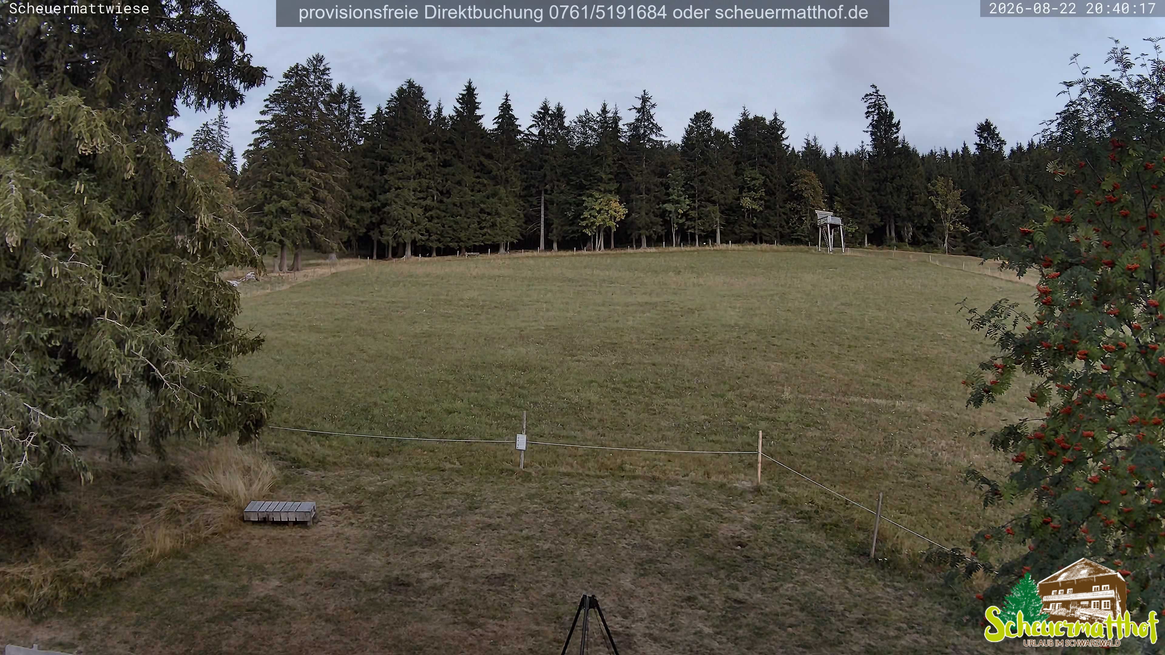 Archived image Webcam Todtnauberg - Scheuermatthof