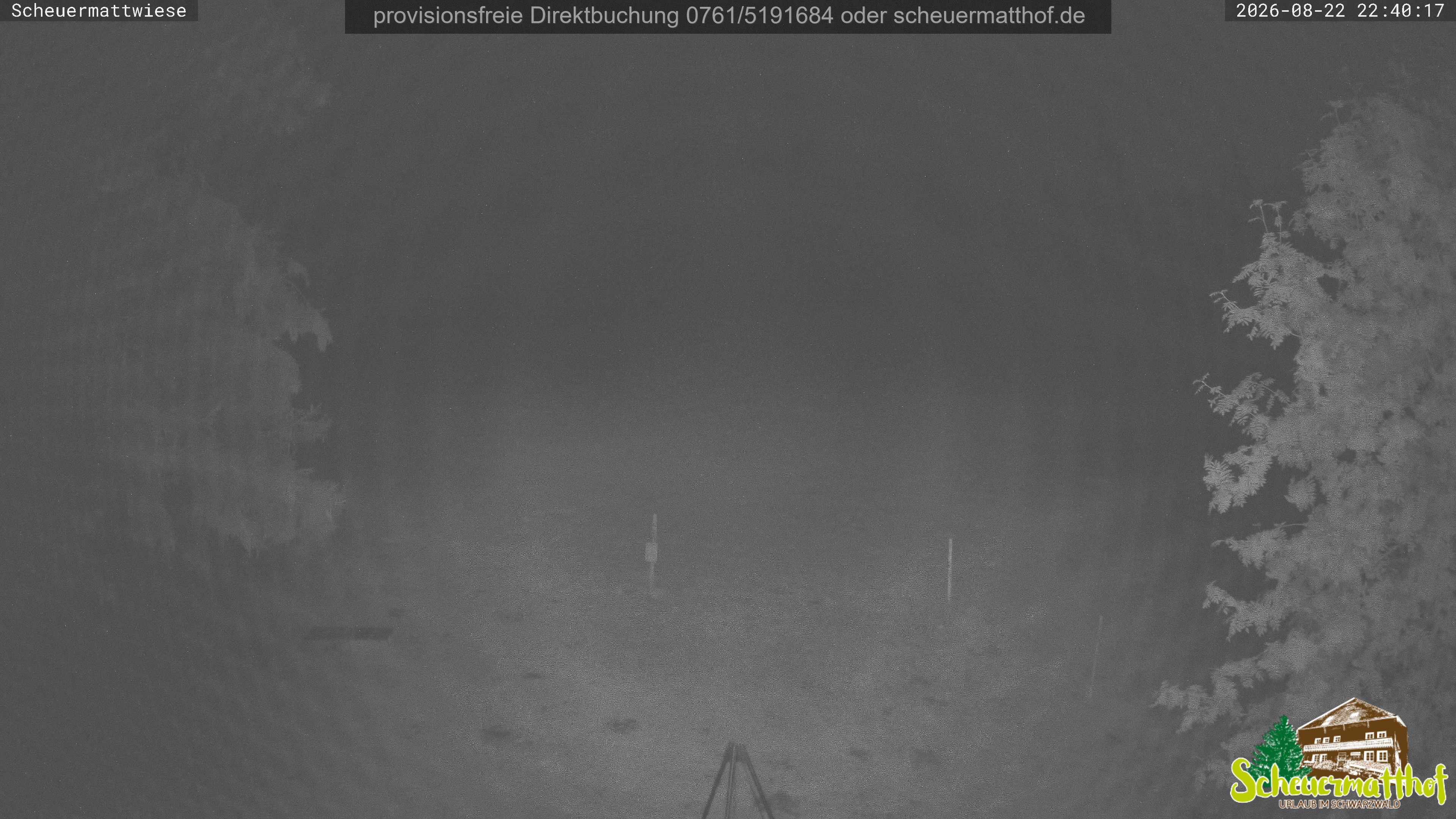 Archived image Webcam Todtnauberg - Scheuermatthof