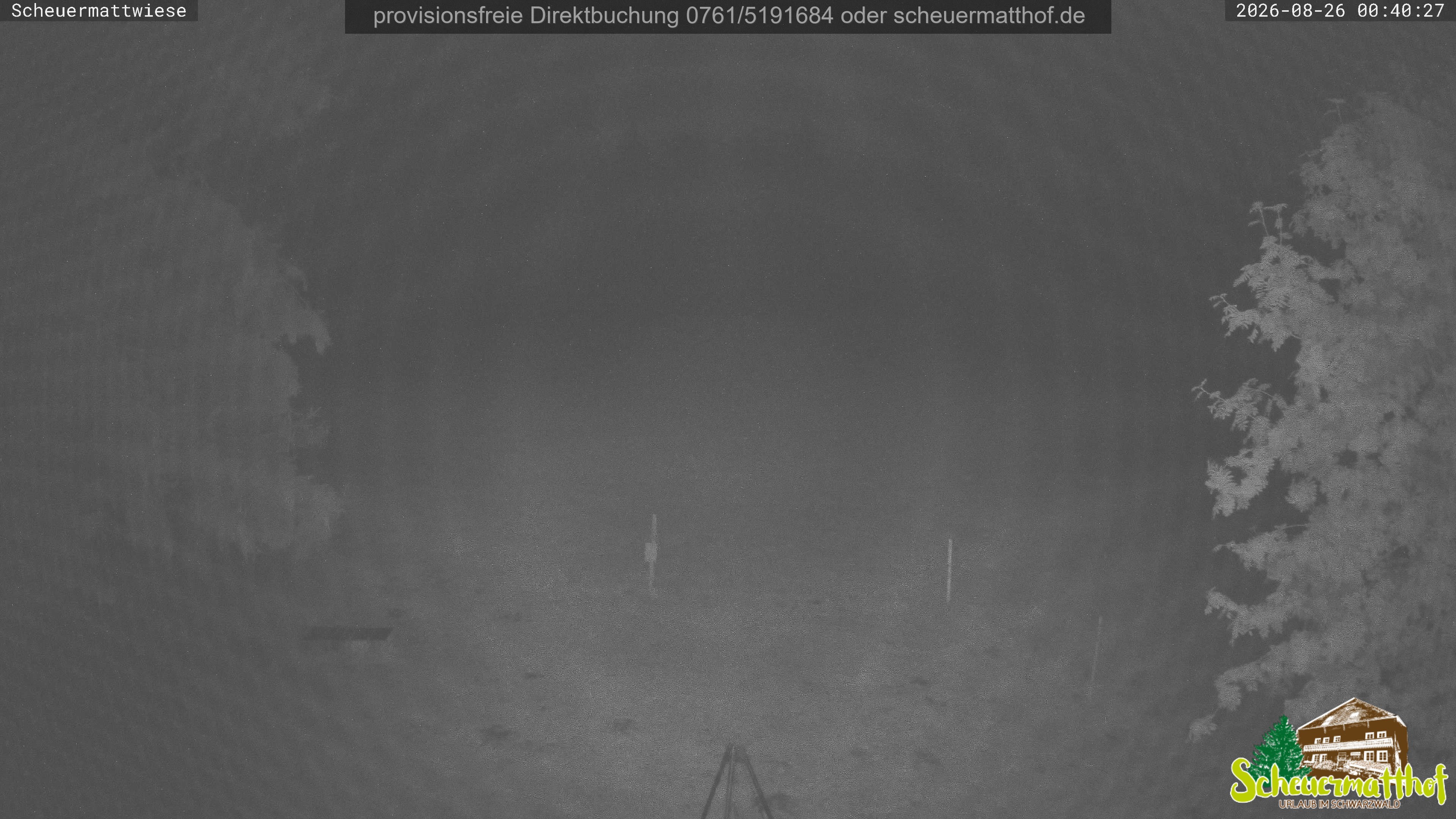 Archiv Foto Webcam Todtnauberg - Scheuermattwiese