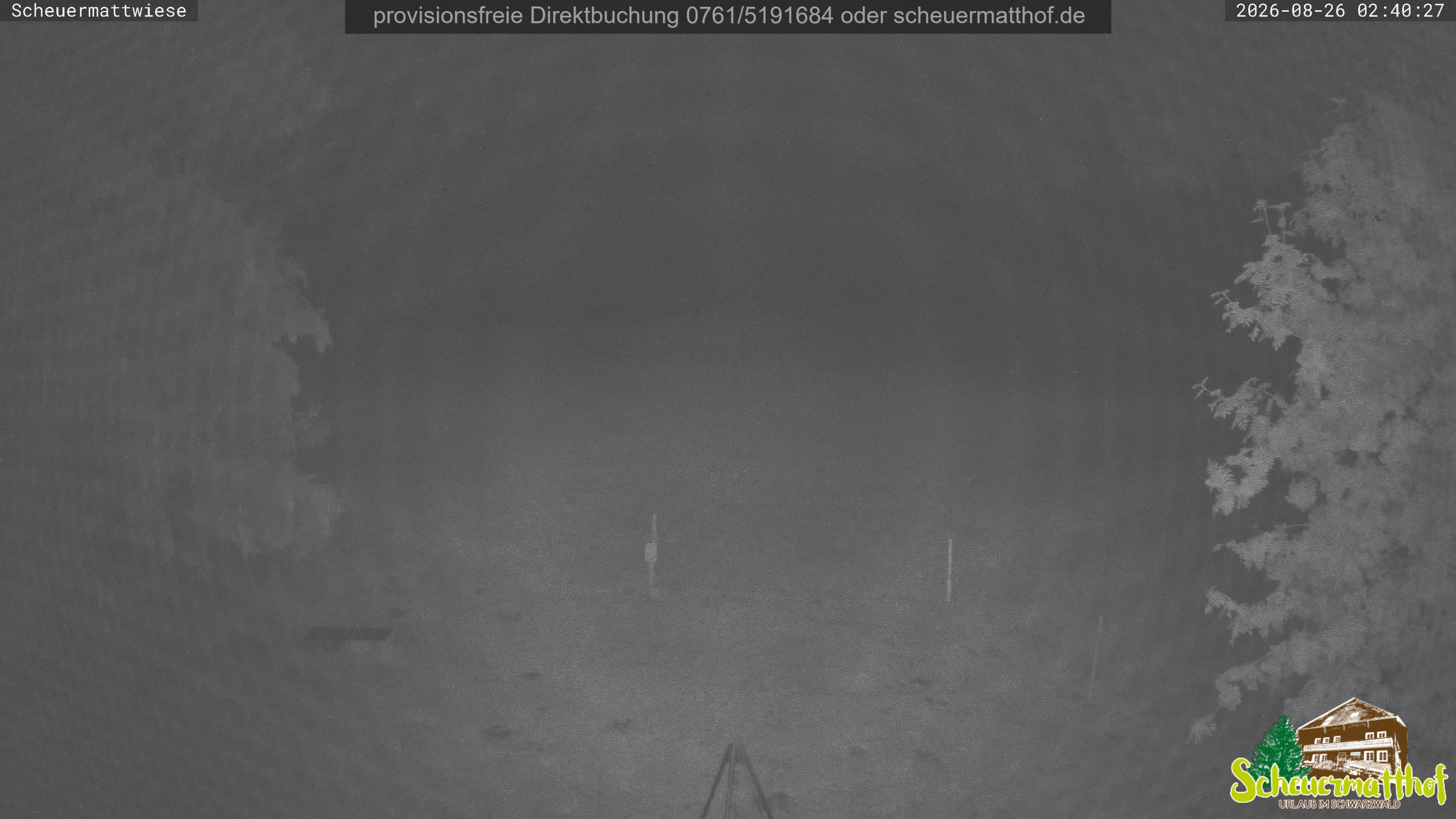 Archiv Foto Webcam Todtnauberg - Scheuermattwiese