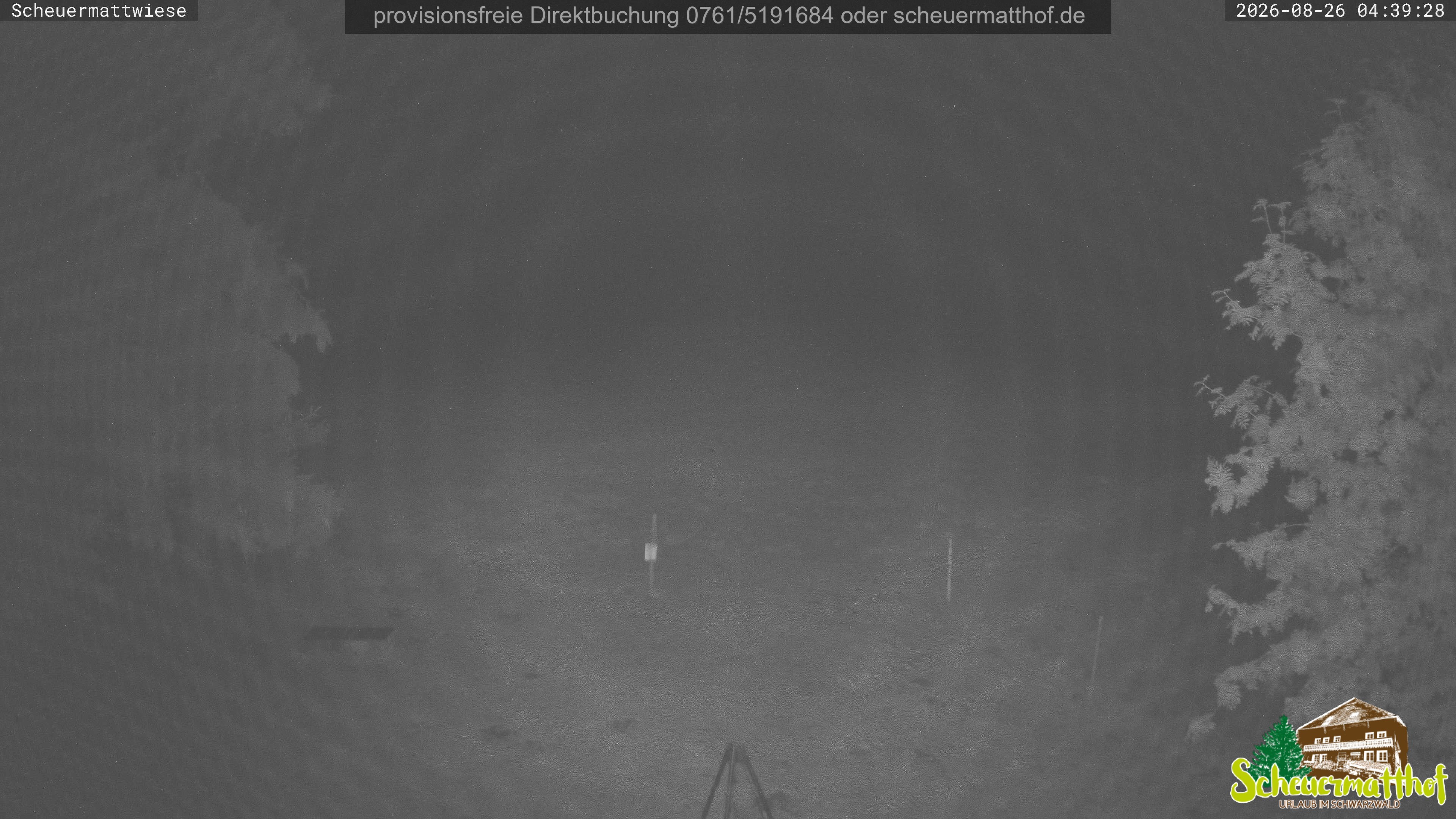 Archiv Foto Webcam Todtnauberg - Scheuermattwiese