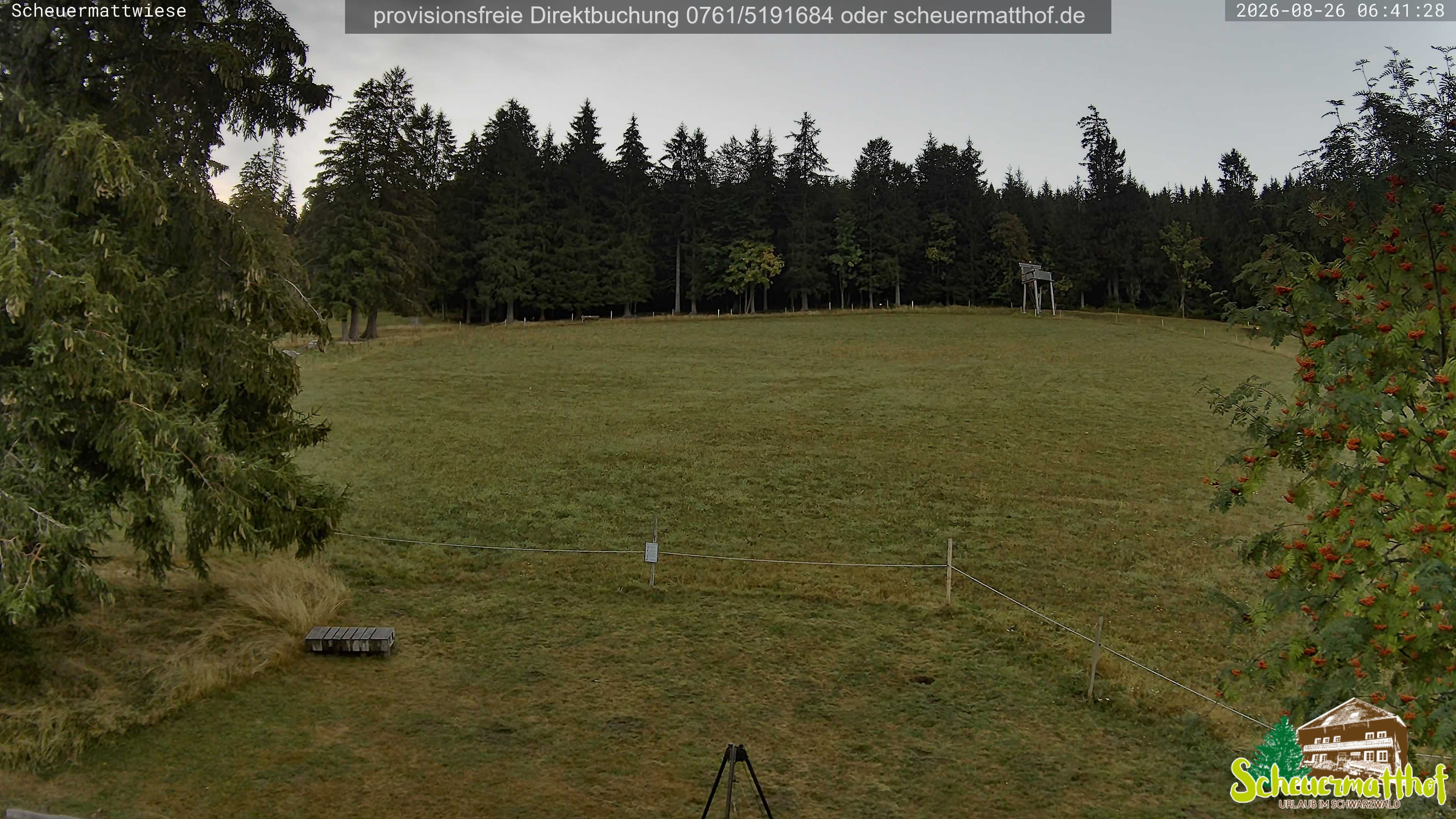 Archiv Foto Webcam Todtnauberg - Scheuermattwiese