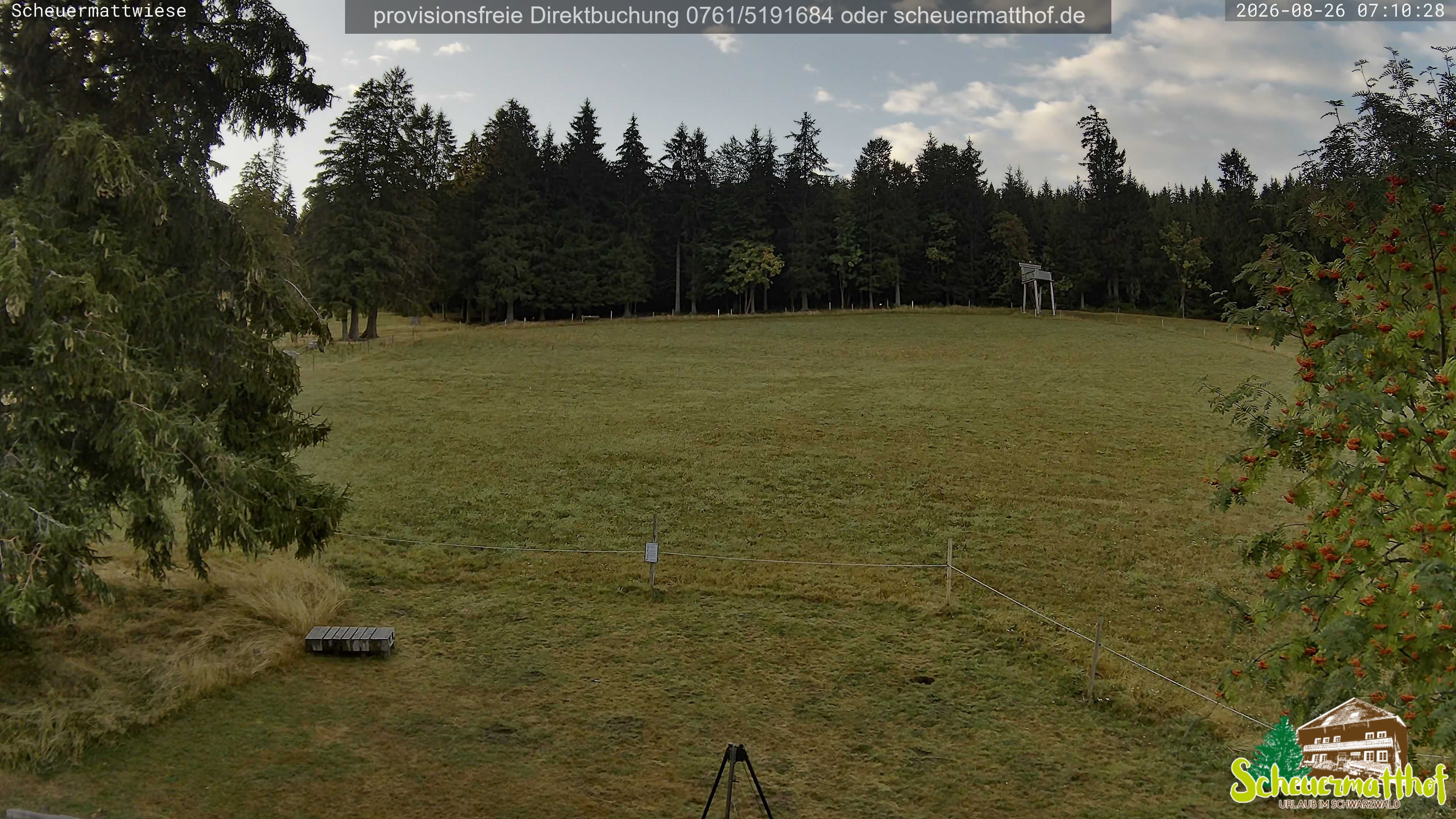 Archiv Foto Webcam Todtnauberg - Scheuermattwiese