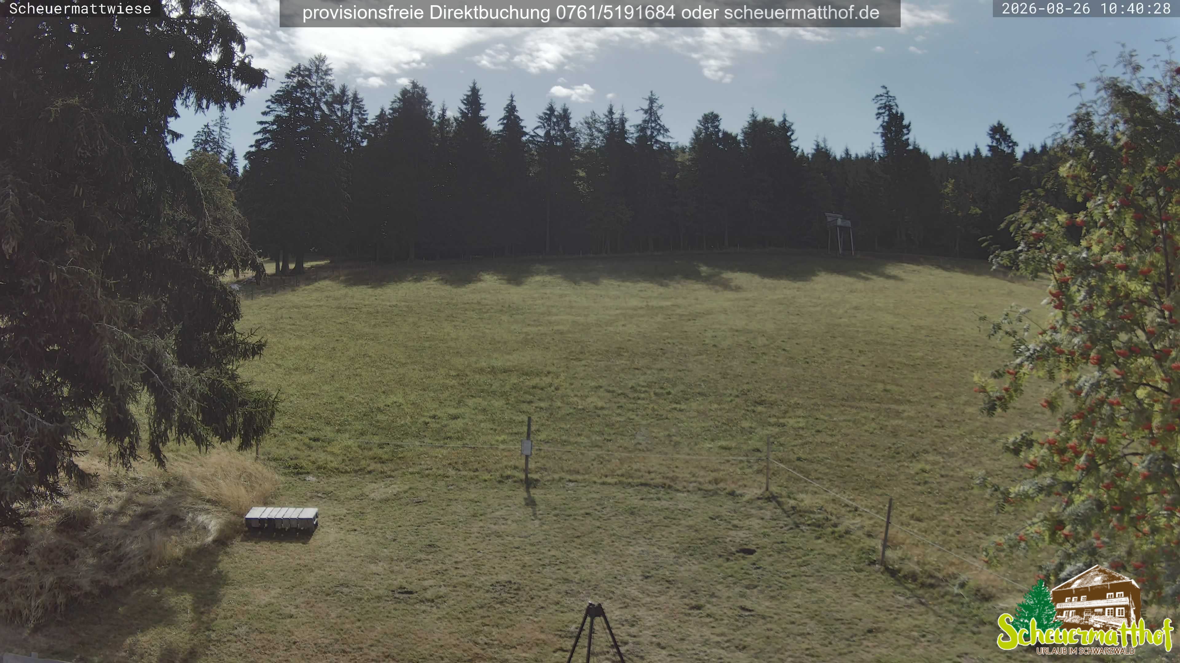 Archiv Foto Webcam Todtnauberg - Scheuermattwiese