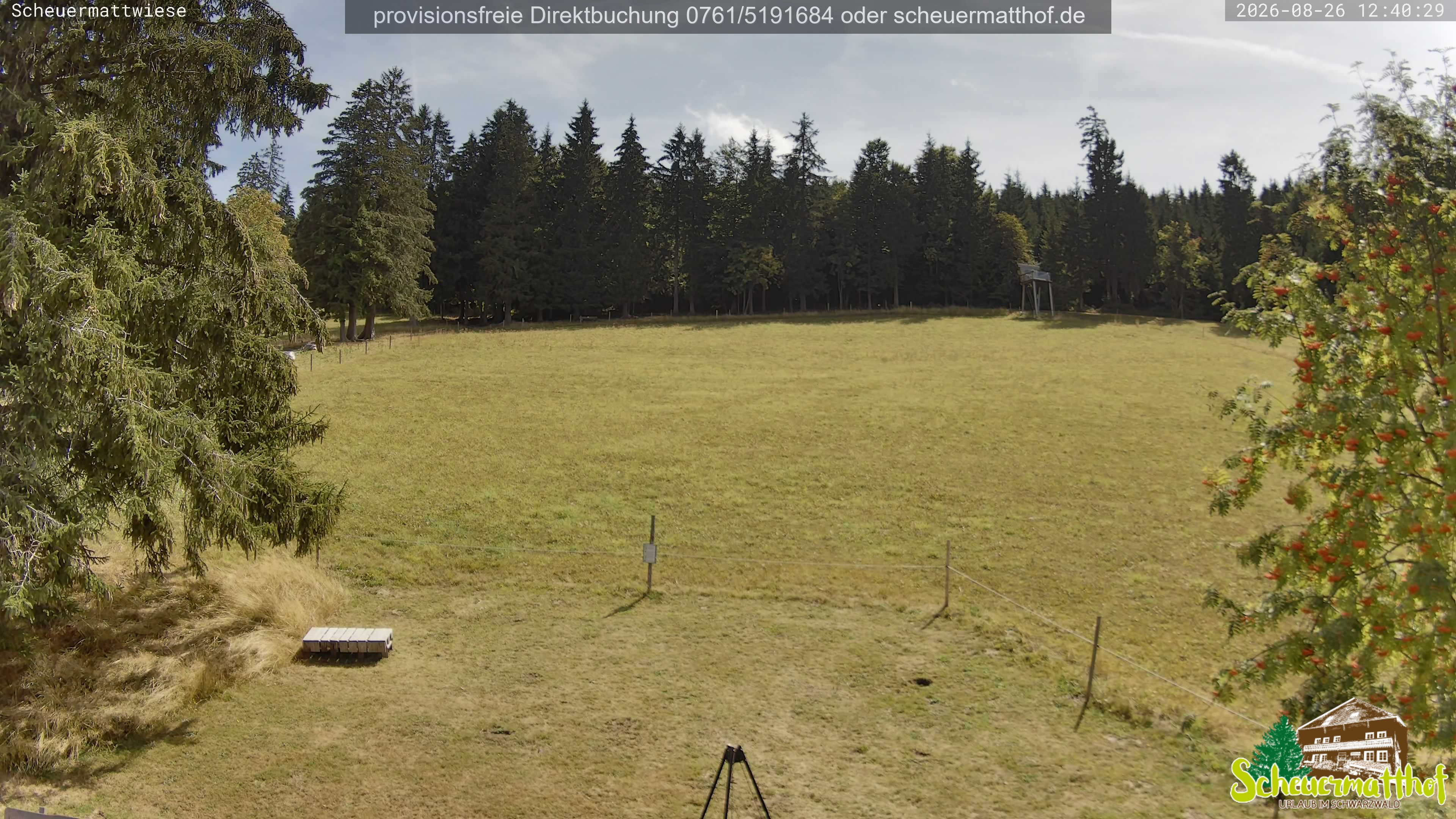 Archiv Foto Webcam Todtnauberg - Scheuermattwiese