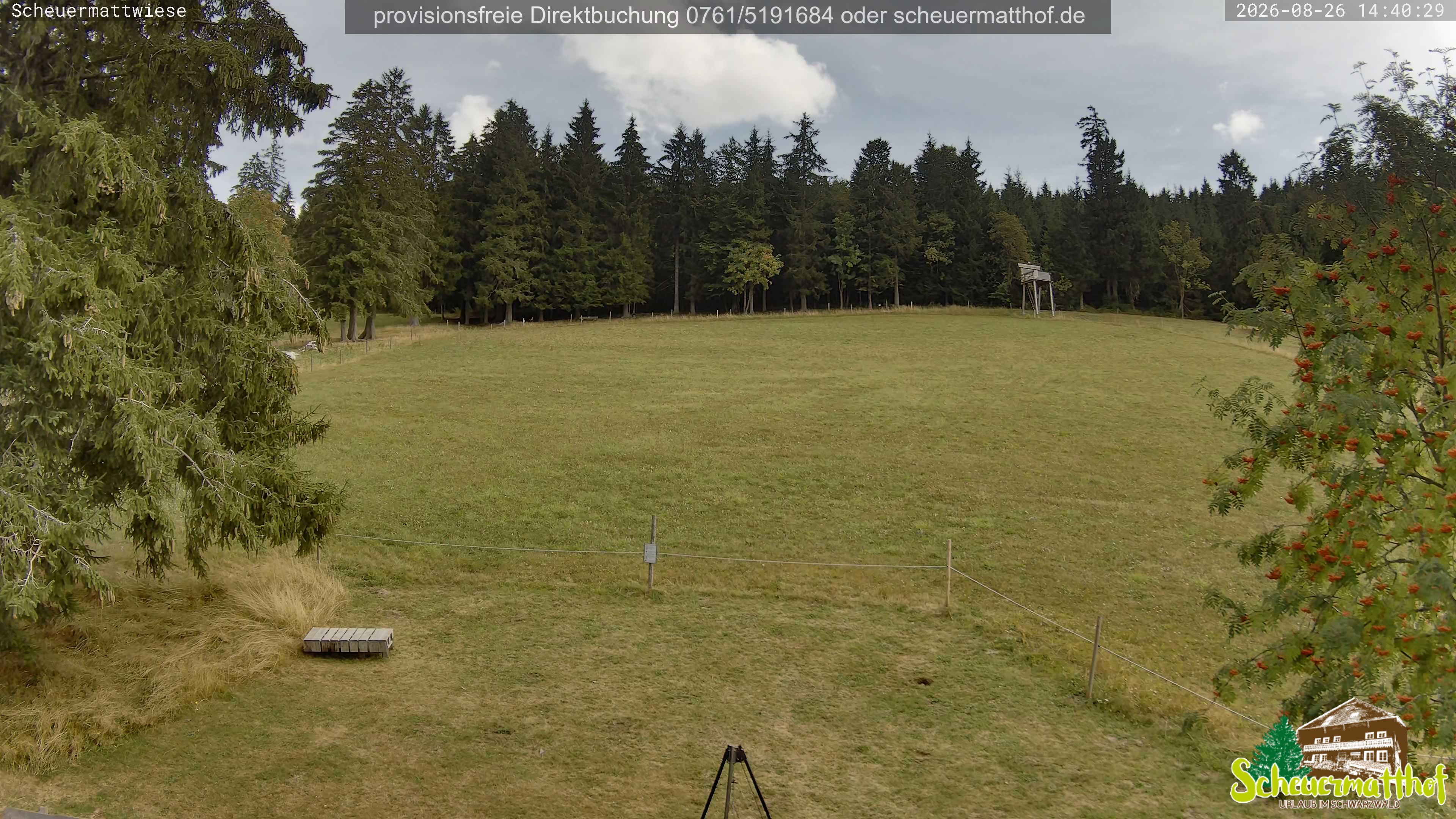 Archiv Foto Webcam Todtnauberg - Scheuermattwiese