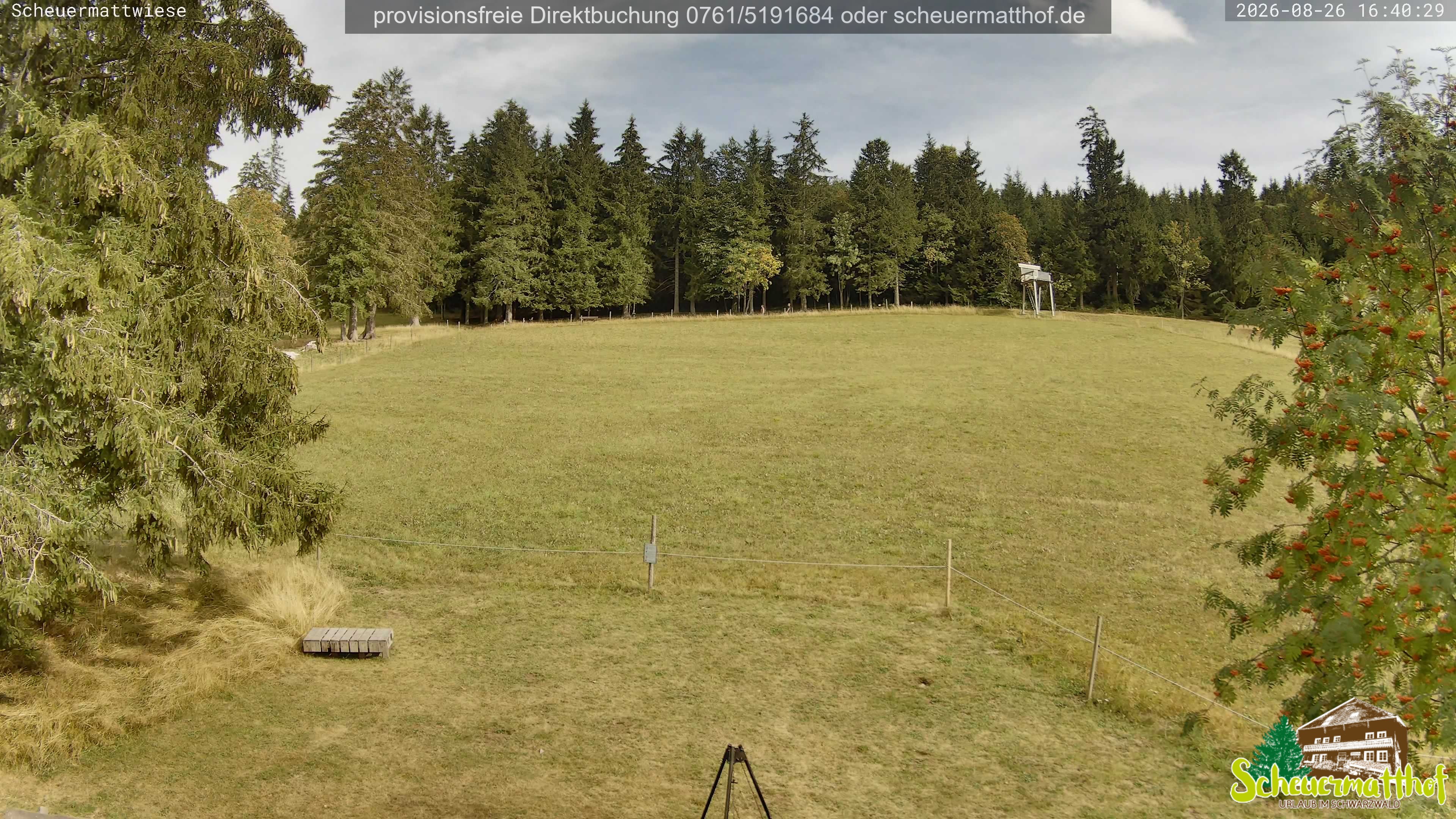 Archiv Foto Webcam Todtnauberg - Scheuermattwiese