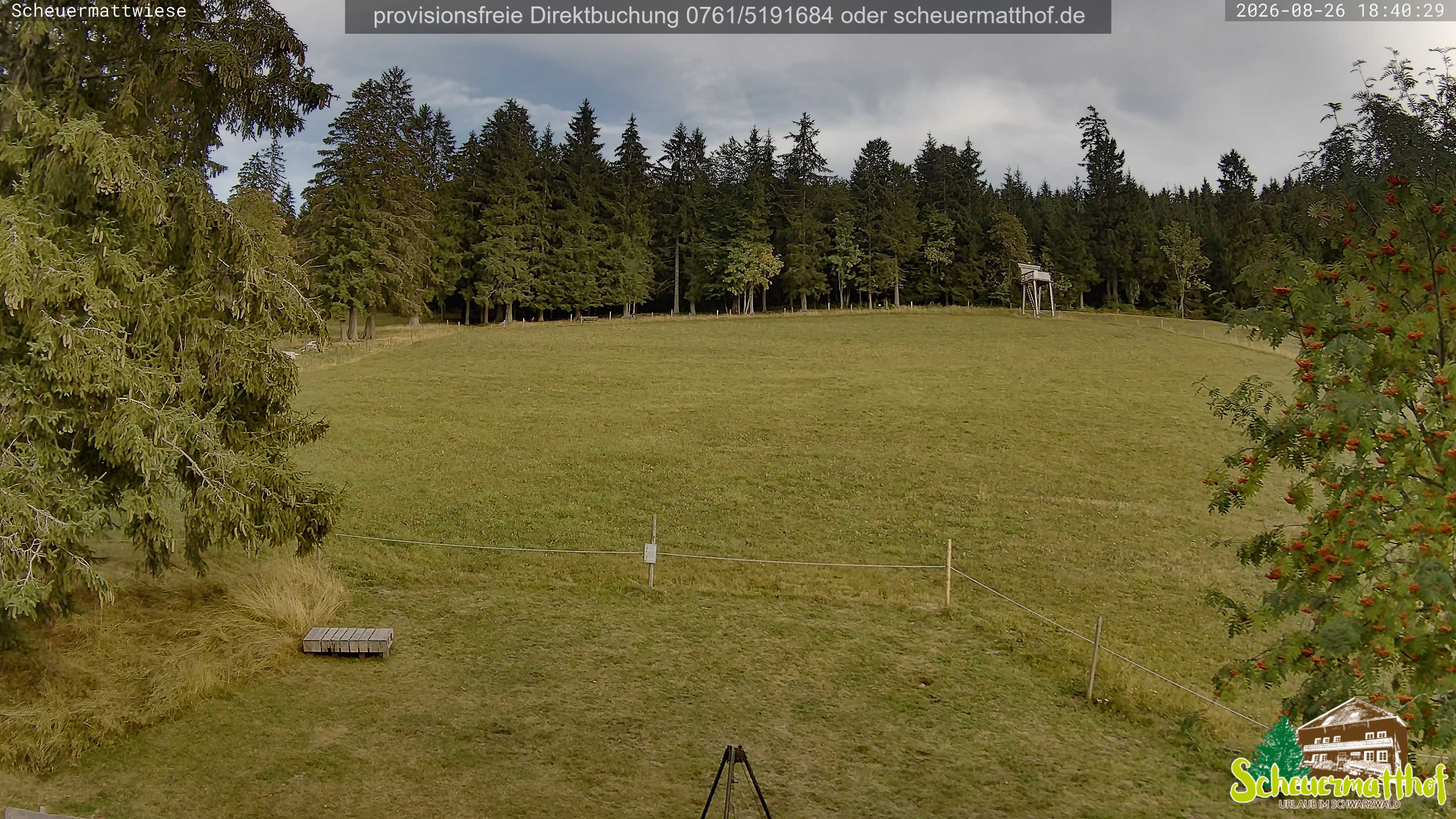 Archiv Foto Webcam Todtnauberg - Scheuermattwiese