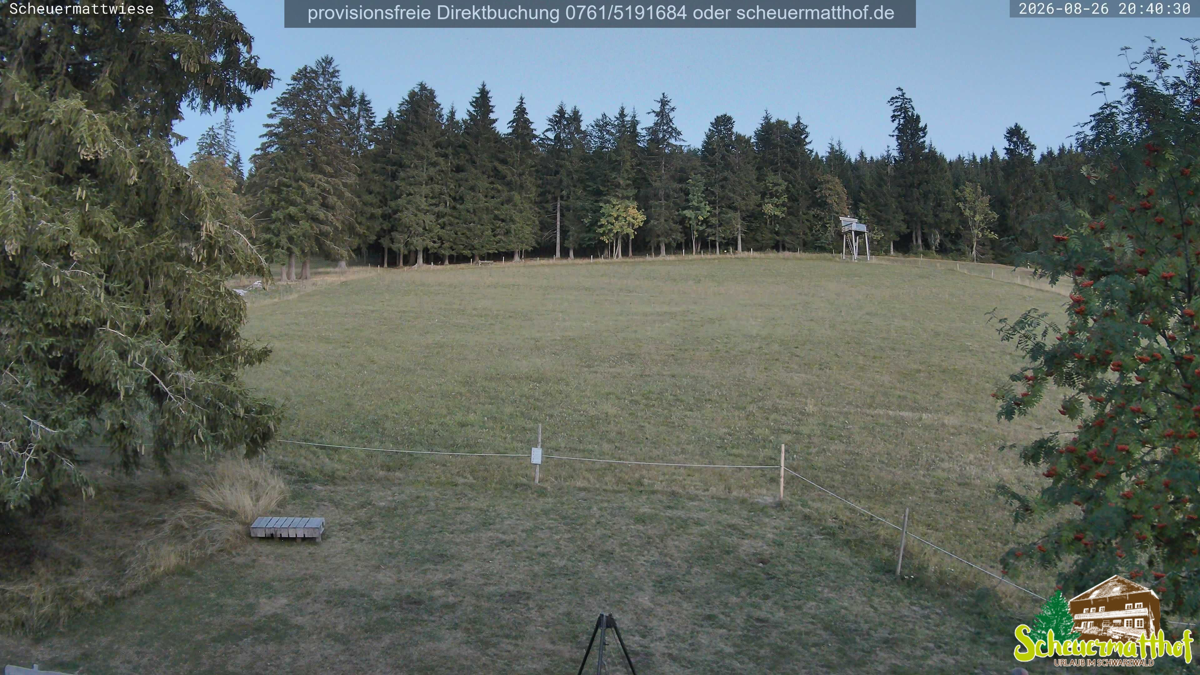 Archived image Webcam Todtnauberg - Scheuermatthof