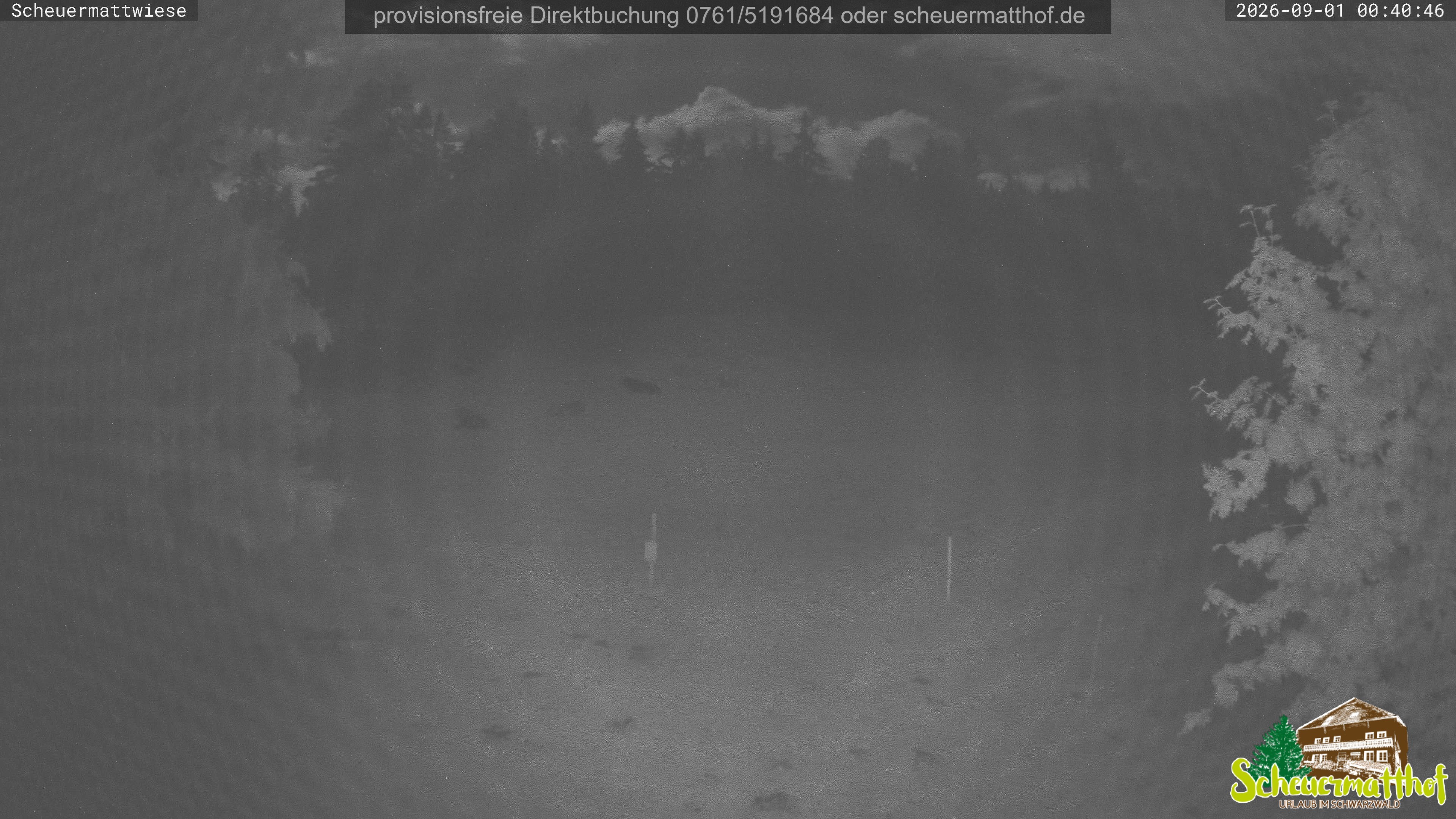Archived image Webcam Todtnauberg - Scheuermatthof