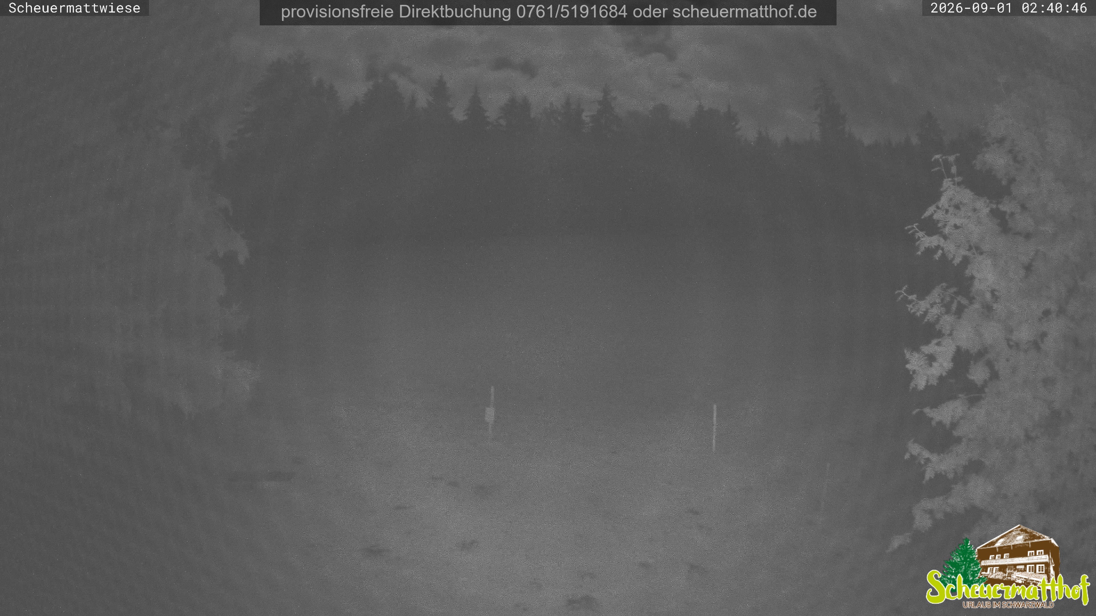 Archived image Webcam Todtnauberg - Scheuermatthof