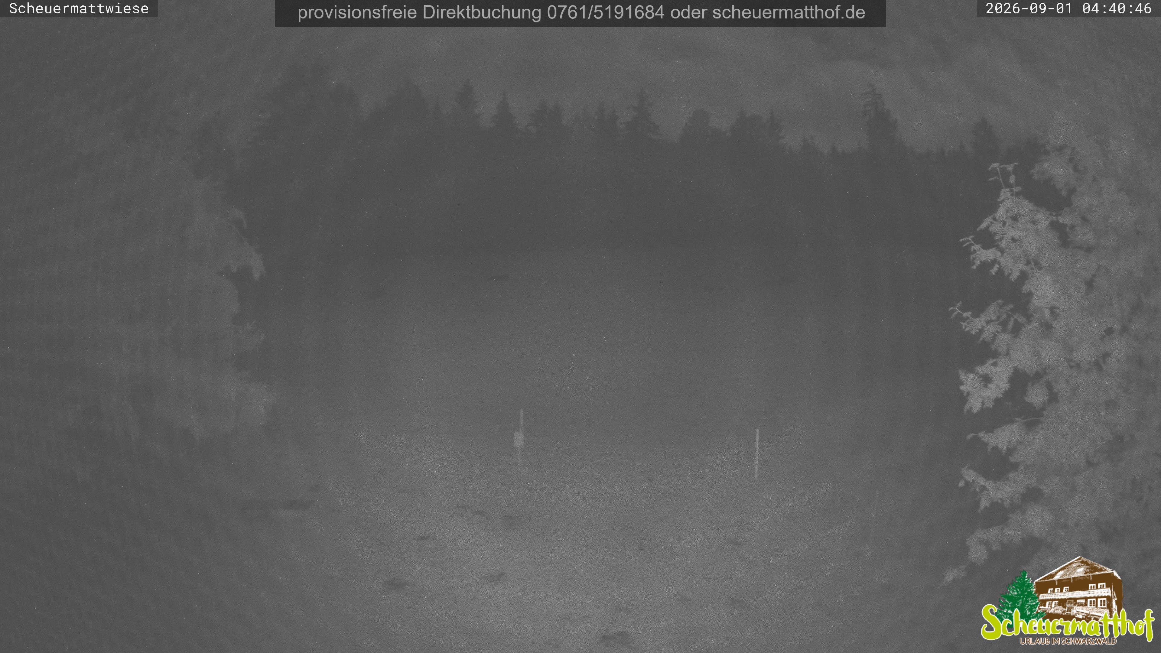 Archived image Webcam Todtnauberg - Scheuermatthof