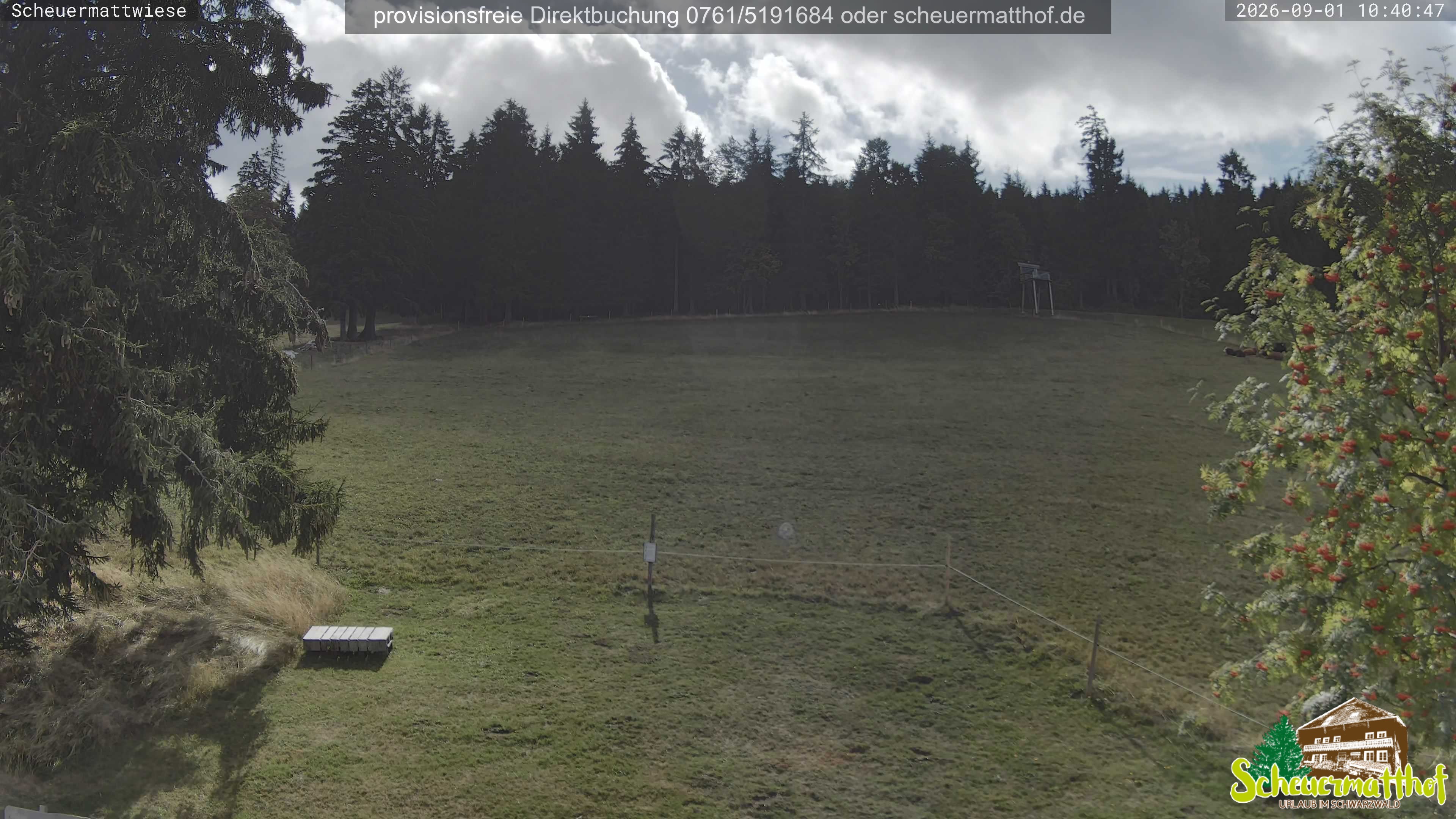 Archived image Webcam Todtnauberg - Scheuermatthof