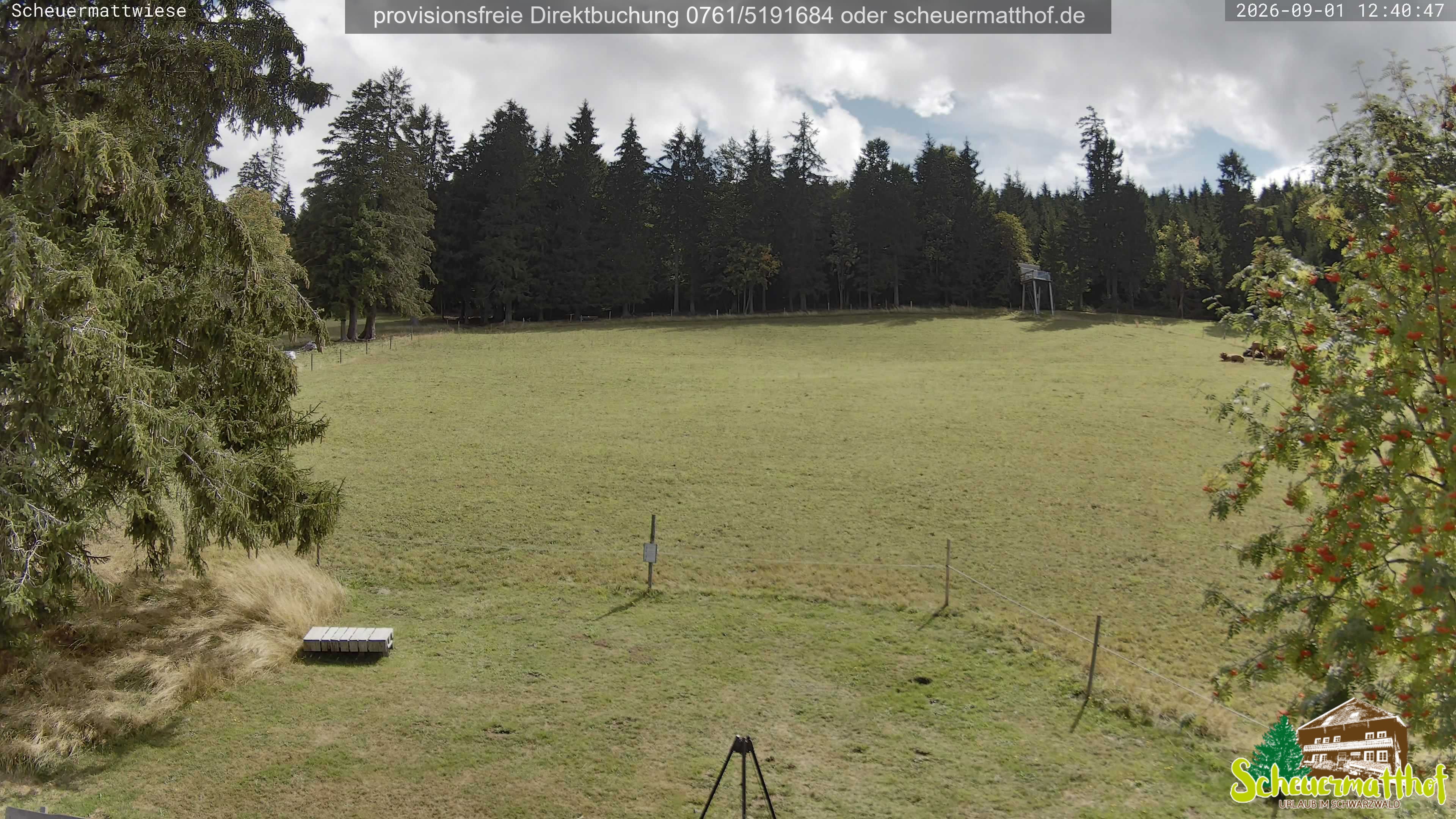 Archived image Webcam Todtnauberg - Scheuermatthof