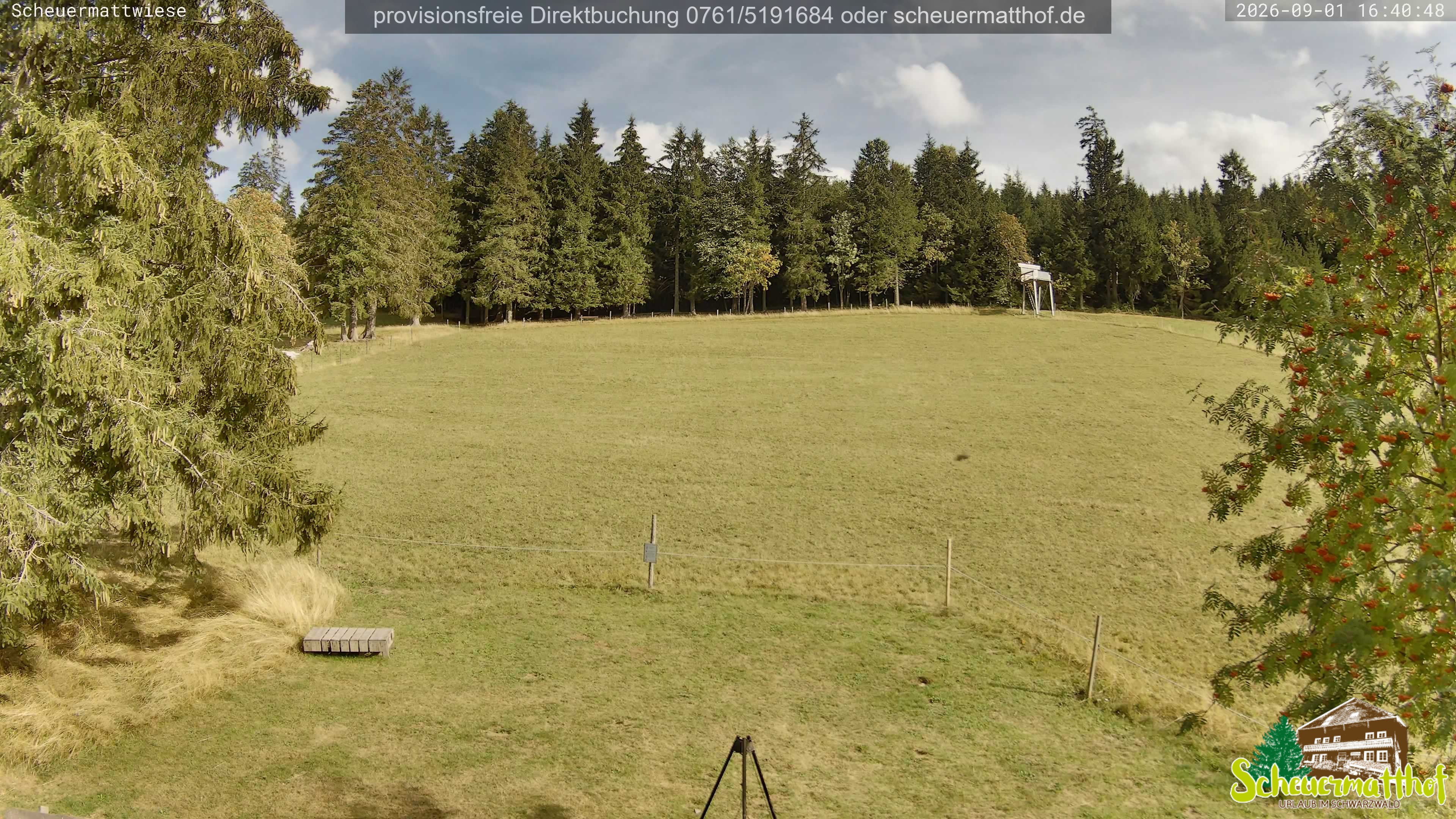 Archived image Webcam Todtnauberg - Scheuermatthof